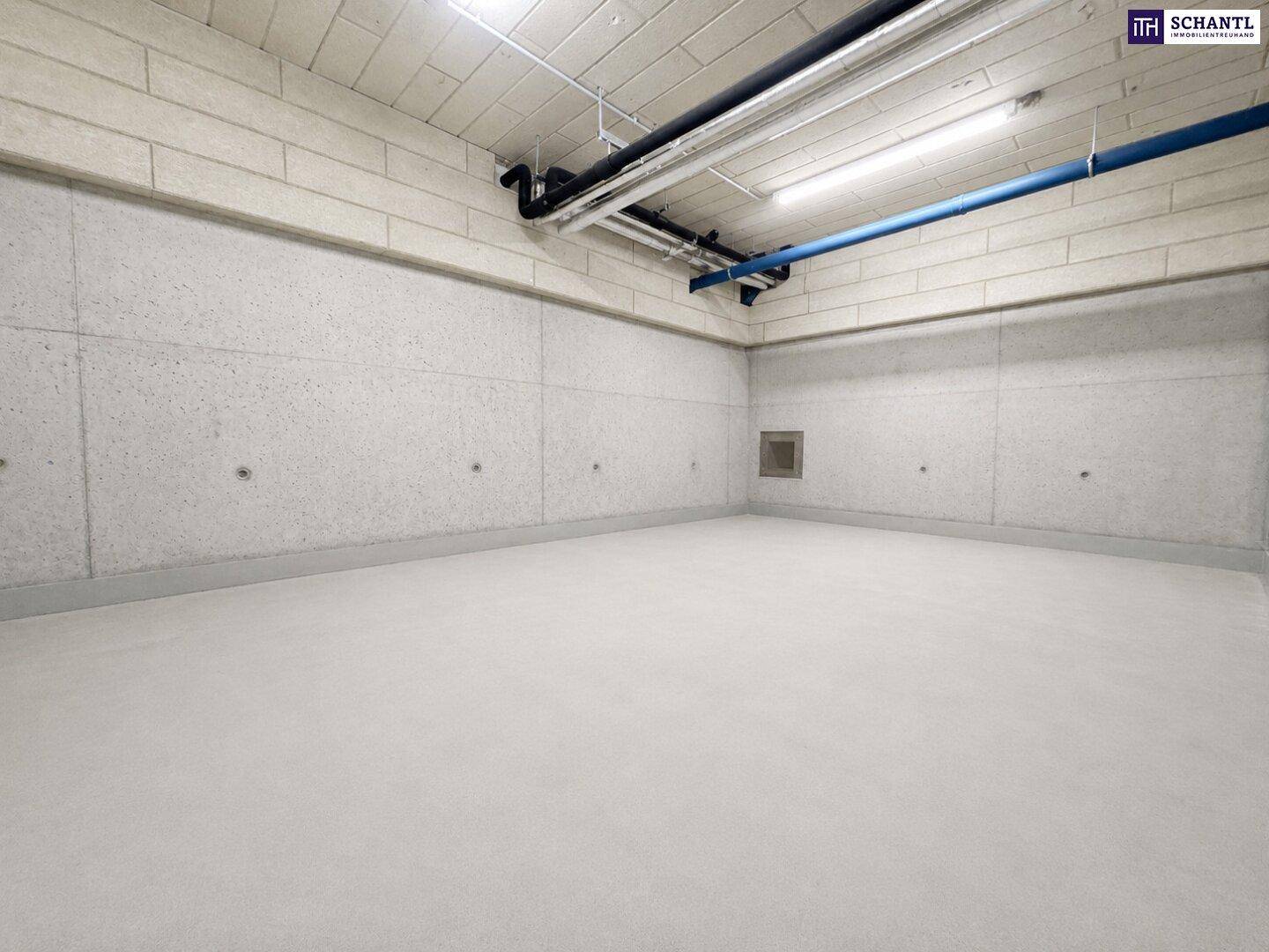 Heller, leerer Lagerraum im Untergeschoss mit Betonwänden und freiliegenden Deckeninstallationen.