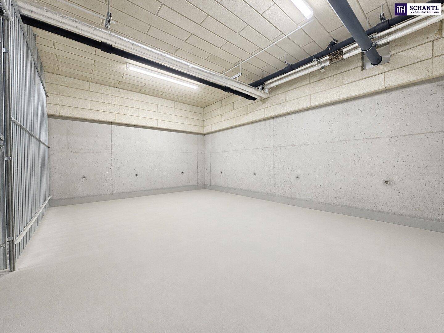 Geräumiger Lagerraum im Untergeschoss mit Betonwänden und einem Teil einer Metallabtrennung.