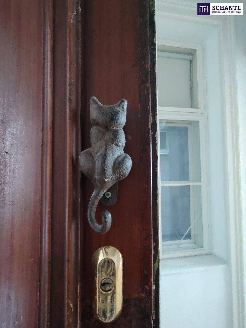 Detail einer alten Holztür mit einem Katzen-Türklopfer und einem Fenster daneben.