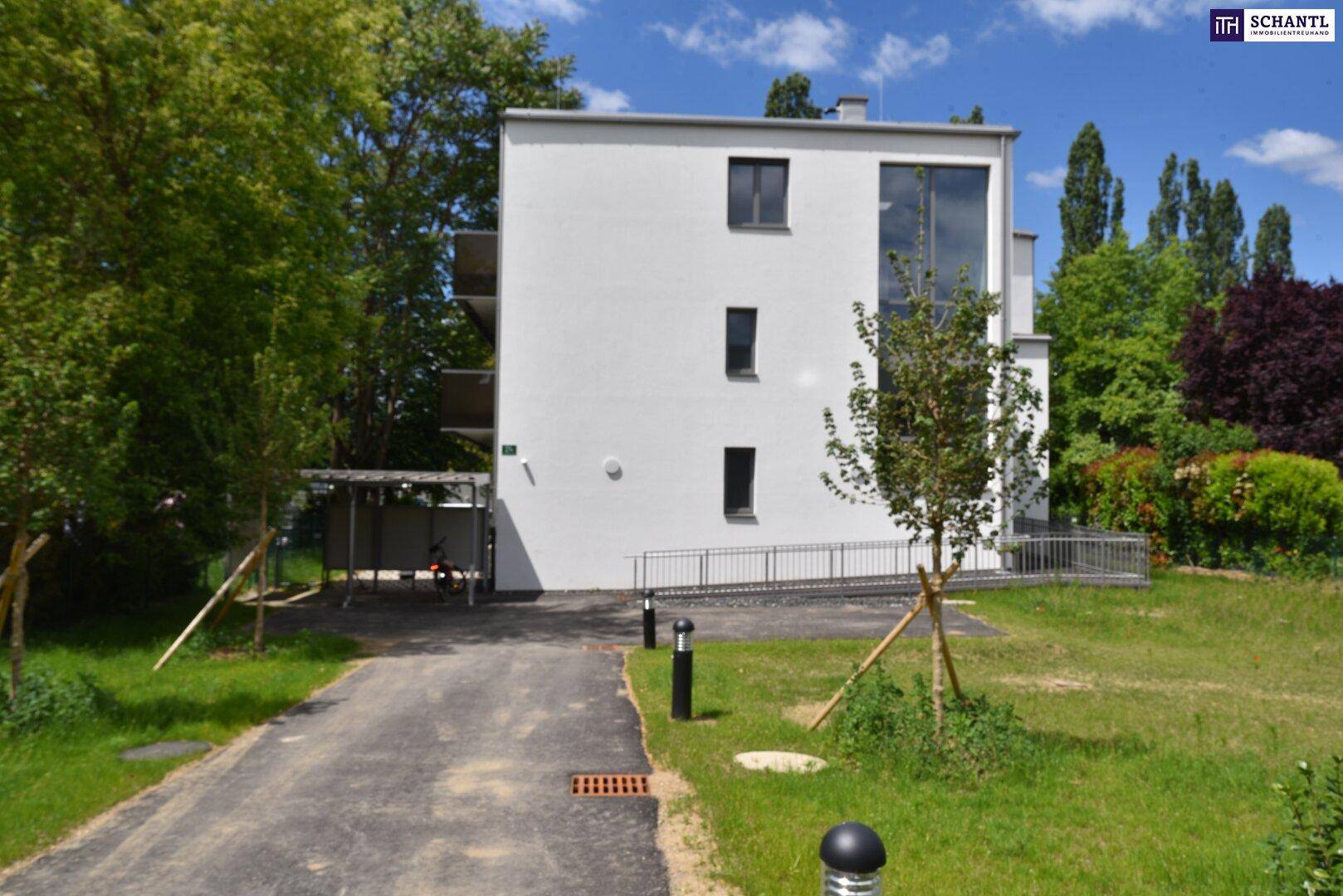 Modernes Gebäude mit weißer Fassade, Zufahrt und einem Carport im Grünen.