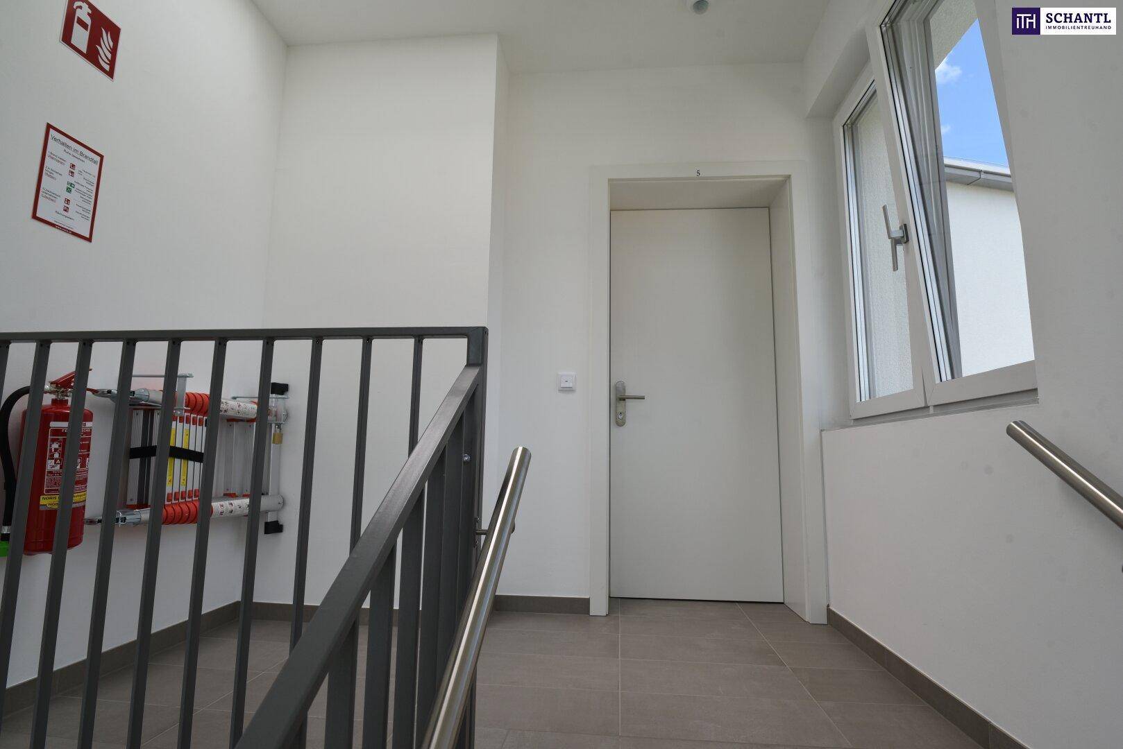 Heller Treppenabsatz mit Fenster und Sicherheitseinrichtungen in einem Neubau.