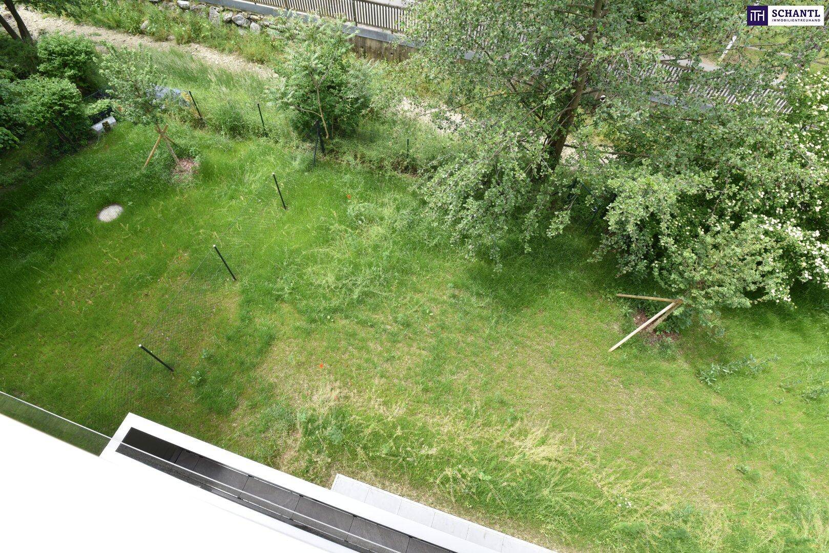Blick von oben auf einen grünen Gartenbereich mit Rasen und Bäumen.