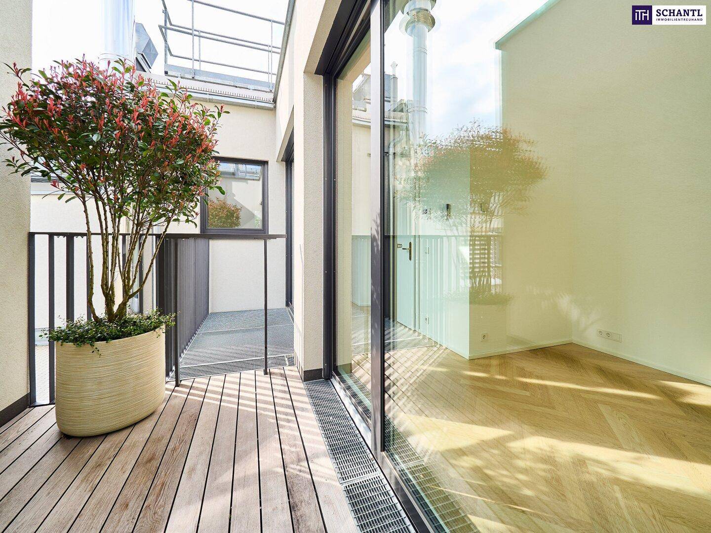 Kleiner Balkon mit Holzboden und Topfpflanze, ideal für entspannte Stunden im Freien.