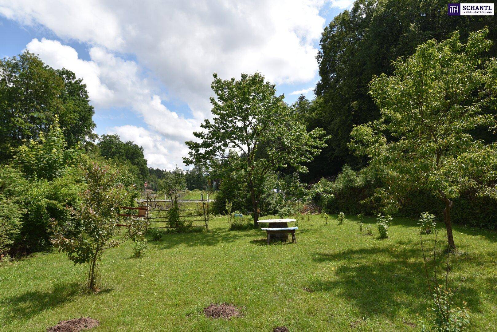 Weitläufiger Garten mit Obstbäumen, Rasen und einer rustikalen Holzbank unter blauem Himmel.