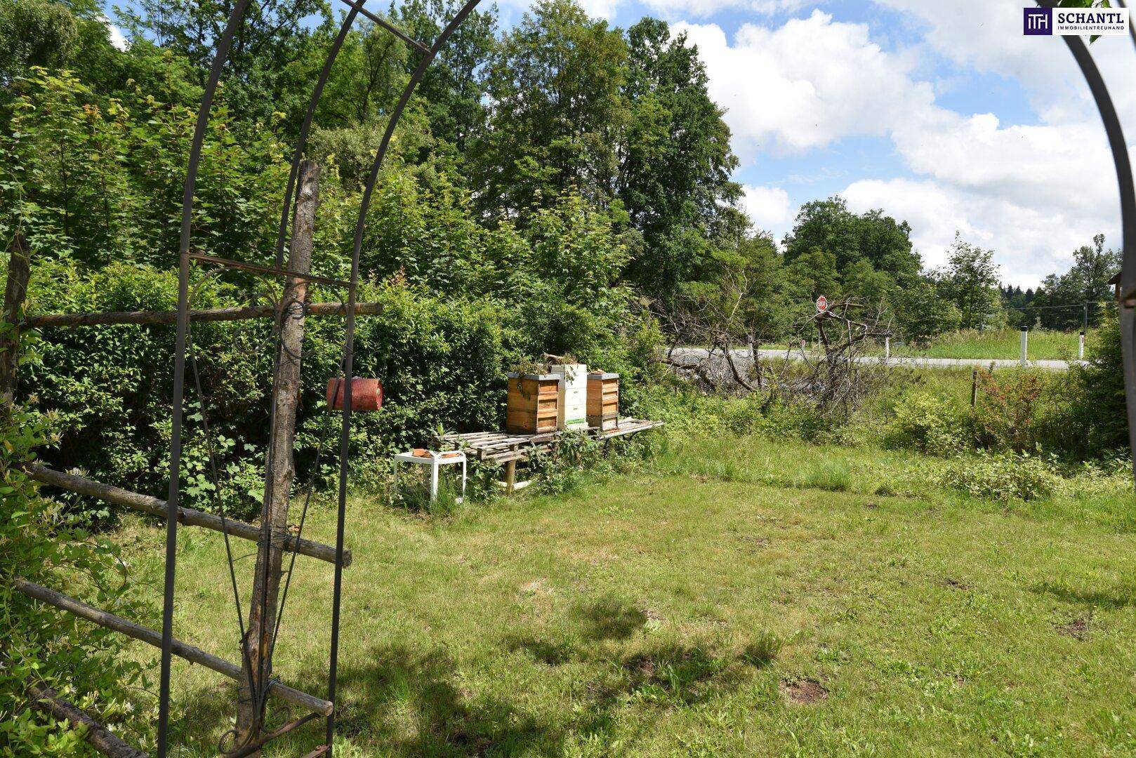 Naturbelassener Gartenbereich mit Bienenstöcken und einem Holzbogen, umgeben von üppigem Grün.