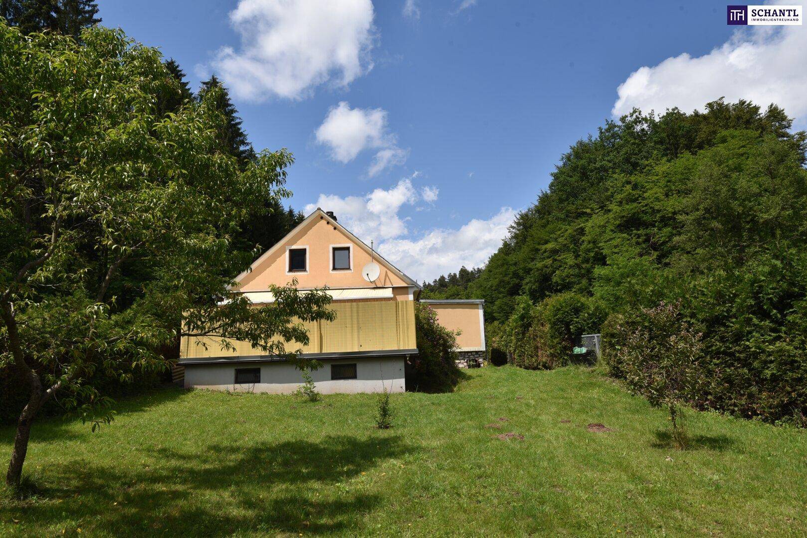 Hausansicht von der Gartenseite mit gelber Fassade und umgebenden Bäumen unter blauem Himmel.