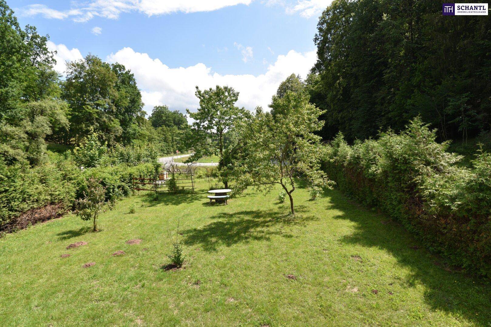 Weitläufiger Garten mit Rasenfläche, jungen Bäumen und einer Holzbank, umgeben von Natur.