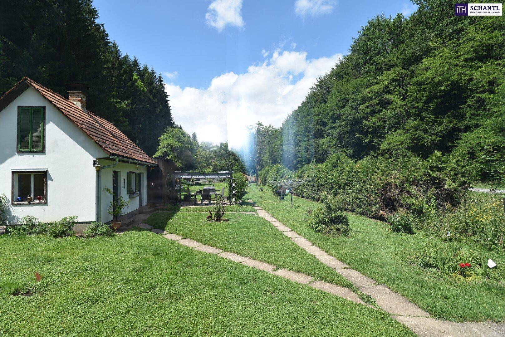 Kleines weißes Haus mit rotem Dach, umgeben von einem weitläufigen Garten und dichtem Wald.