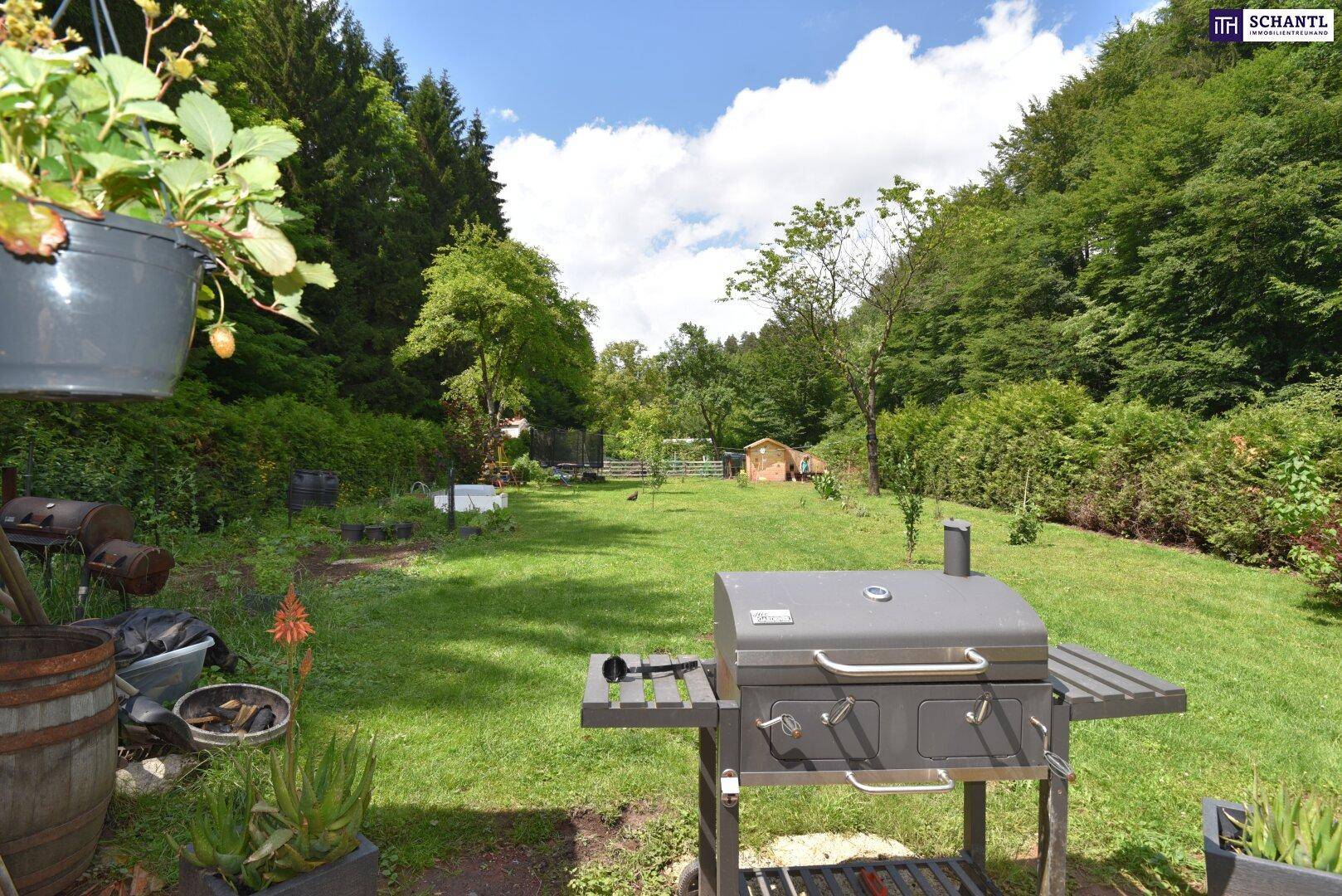 Großer Gartenbereich mit Grill im Vordergrund, umgeben von Rasenflächen und Bäumen.