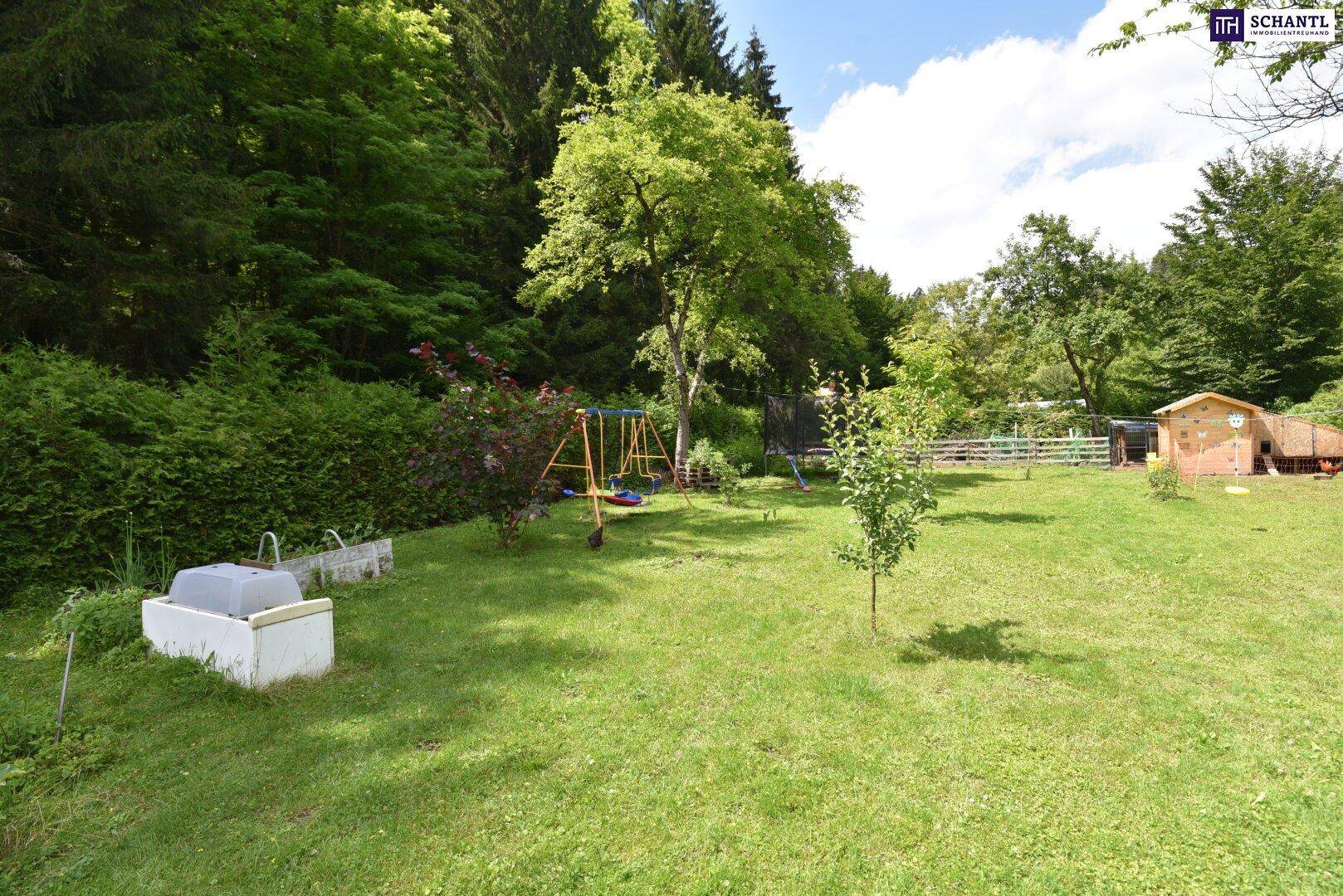 Gartenbereich mit Schaukel, kleinem Schuppen und verschiedenen Pflanzen sowie Bäumen.