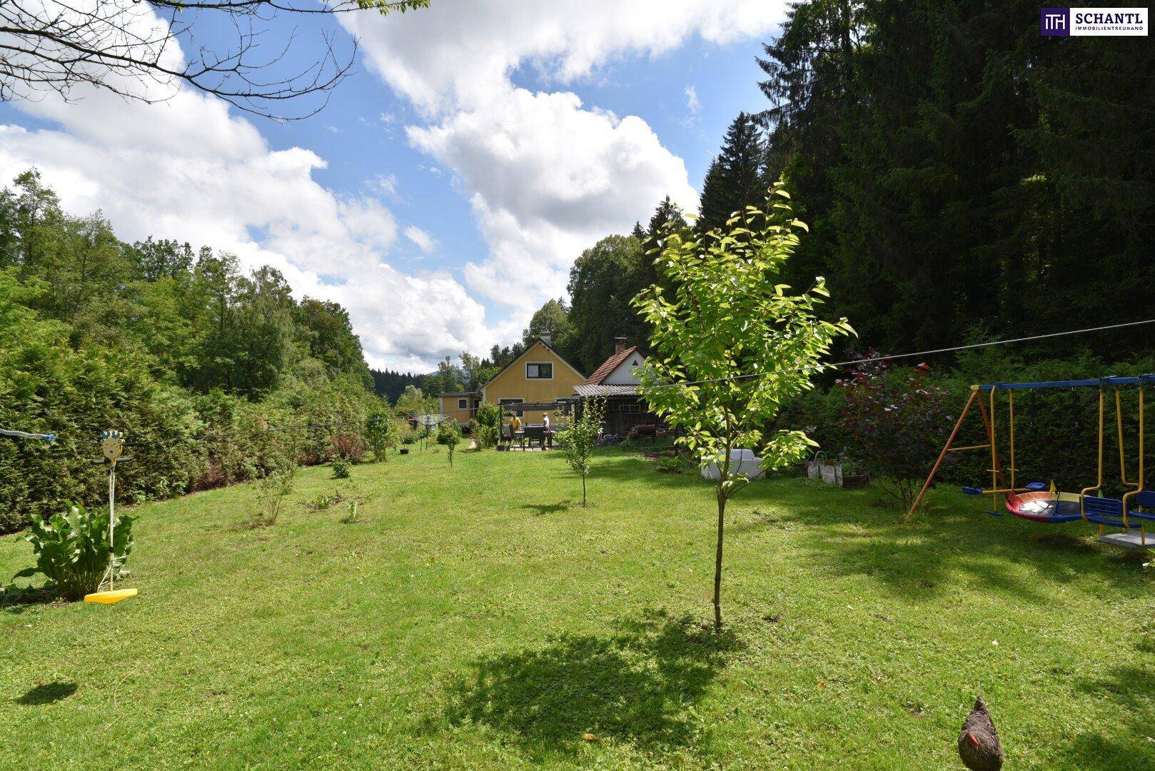 Weitläufiger Garten mit Schaukel, jungen Bäumen und dem Haupthaus im Hintergrund.