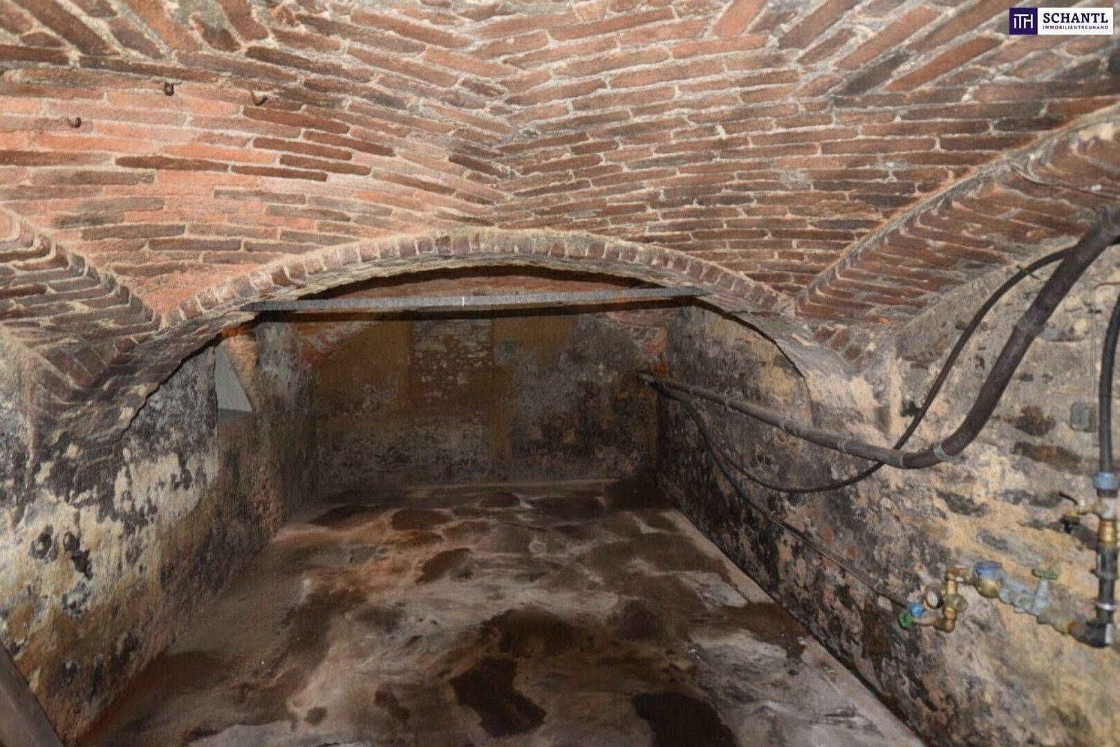Historischer Gewölbekeller mit Ziegeldecke und feuchten Wänden, ideal zur Lagerung.