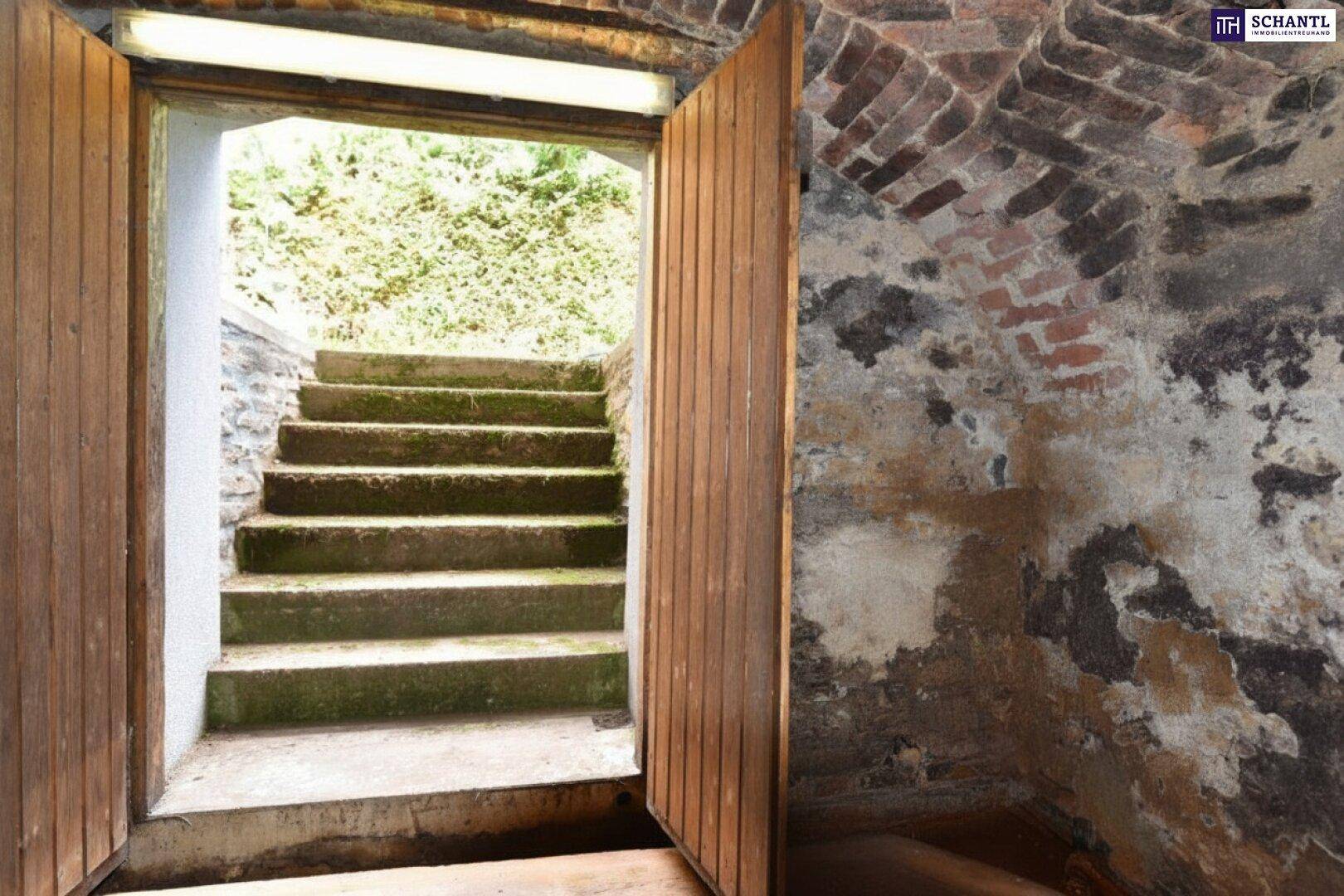 Steintreppe führt aus dem Keller ins Freie, umgeben von rustikalen Holztüren.