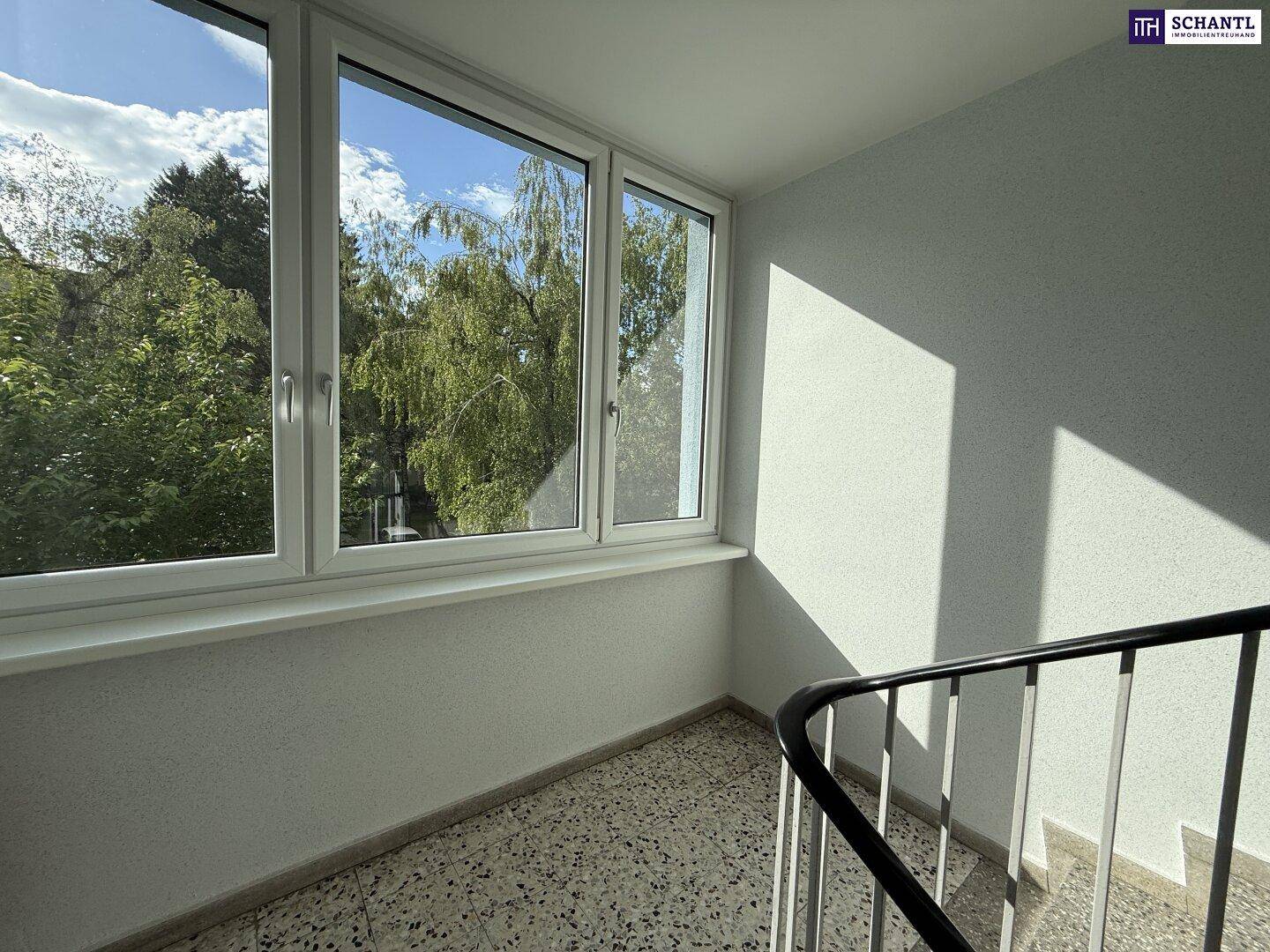 Heller Treppenabsatz mit großem Fenster und Blick ins Grüne, ausgestattet mit Terrazzoboden.