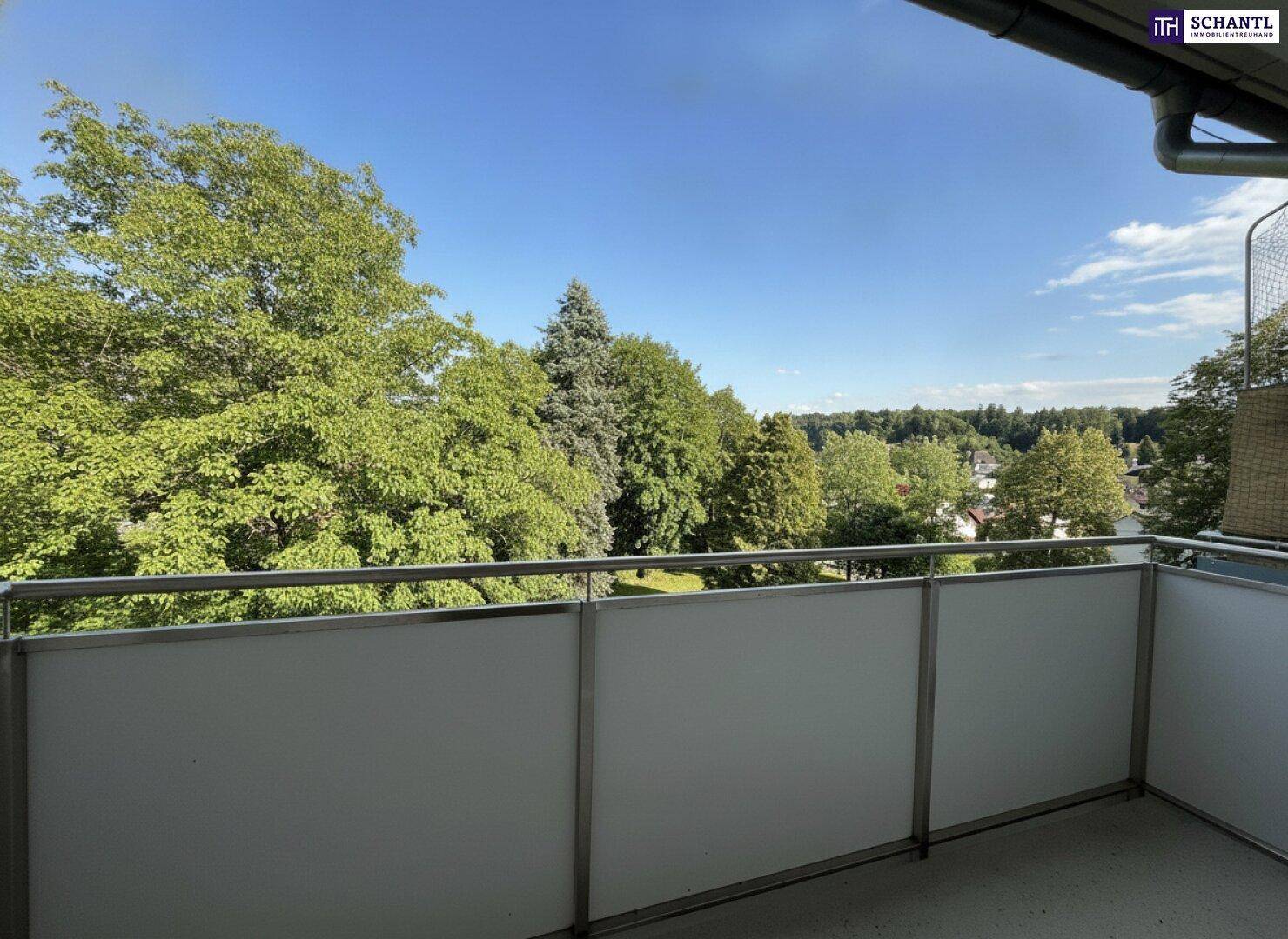 Geräumiger Balkon mit weitem Blick auf grüne Bäume und den blauen Himmel.