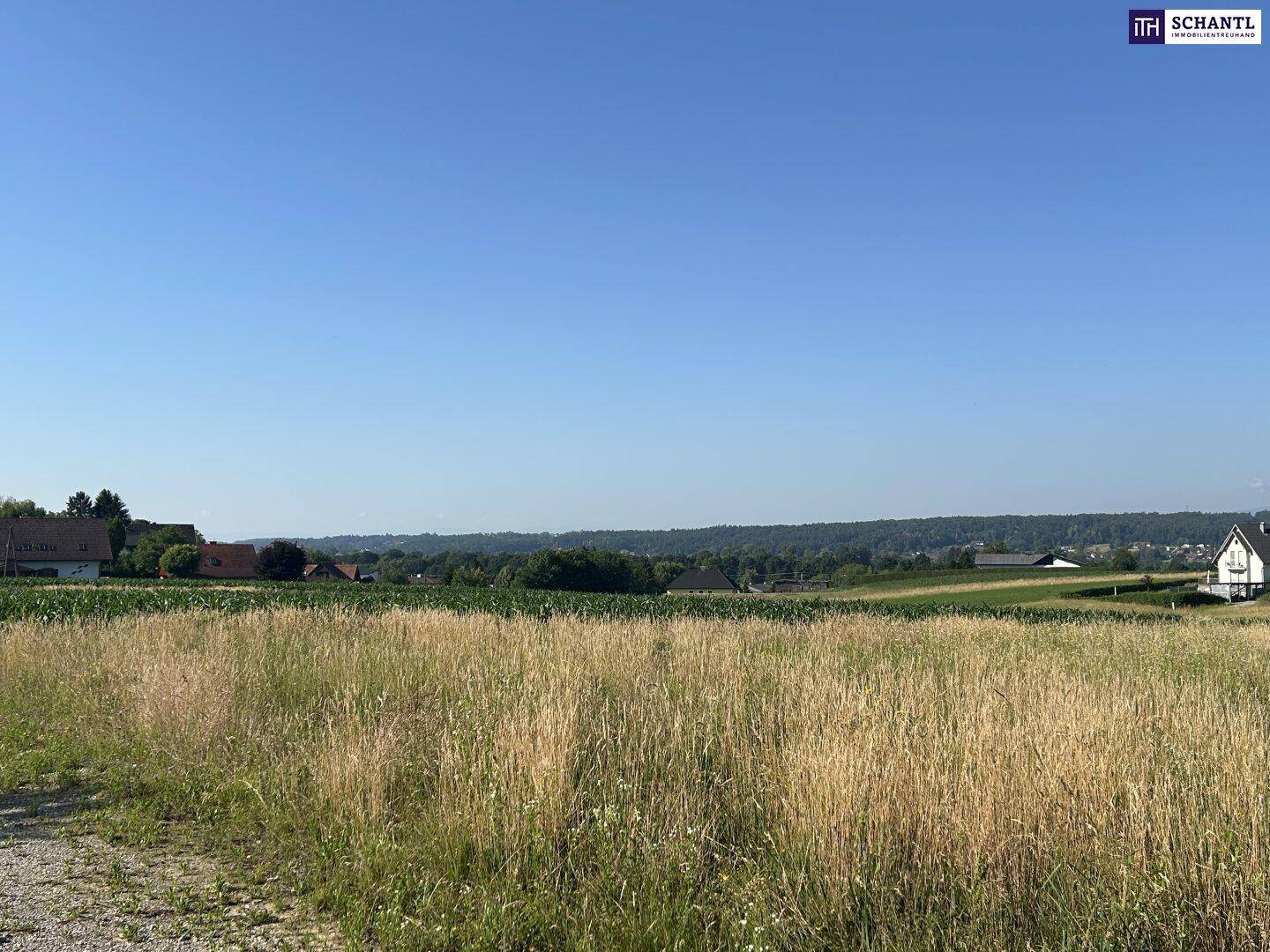 Weites Feld mit Blick auf eine bewaldete Hügellandschaft und vereinzelte Häuser in der Ferne.