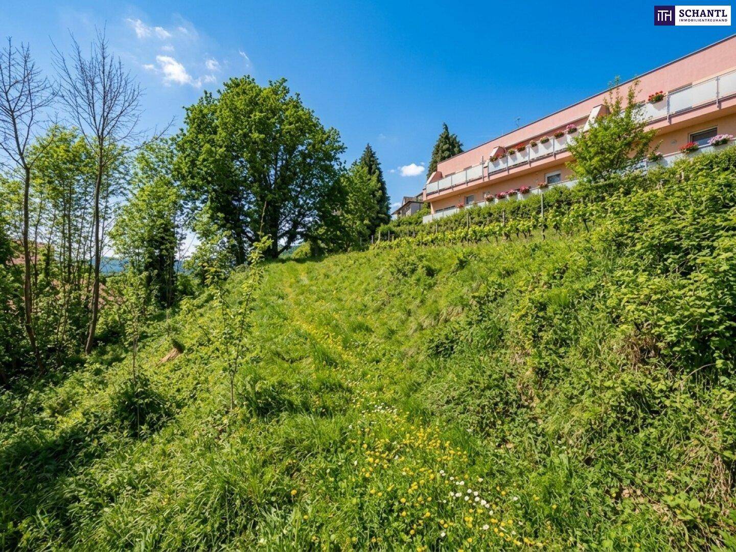Steiler, grüner Hang mit Bäumen und einem Wohngebäude mit Balkonen im Hintergrund.
