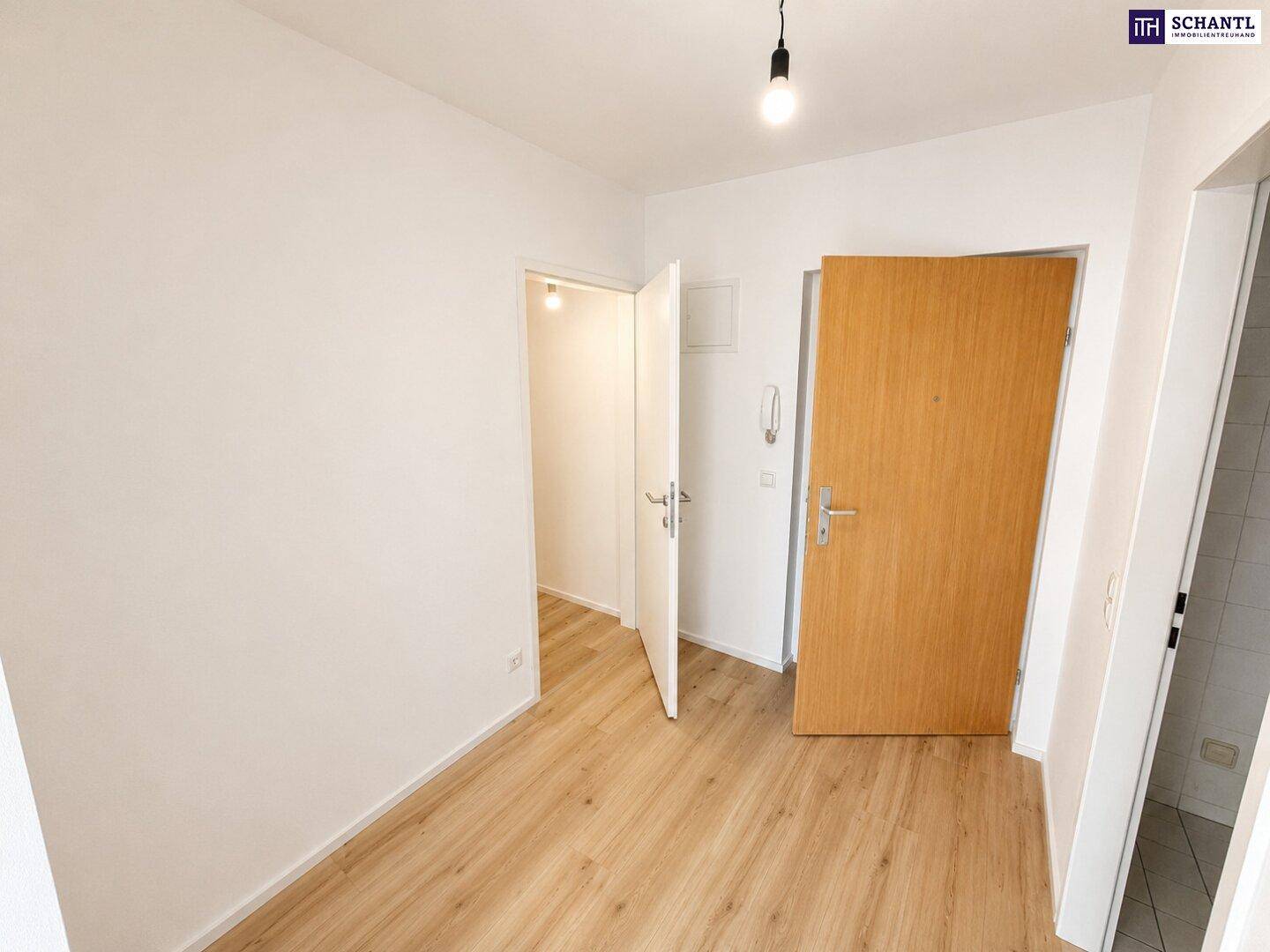Heller Eingangsbereich mit Laminatboden und Holztür, der zu verschiedenen Zimmern führt.
