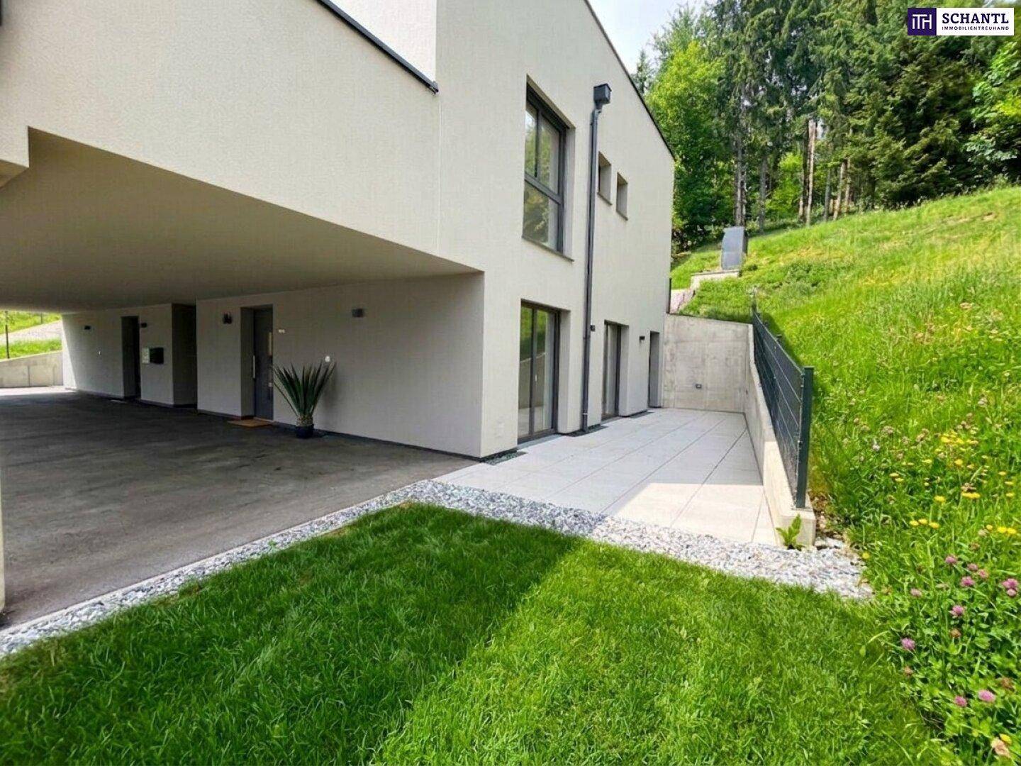 Außenbereich mit gepflegtem Rasen, einer gepflasterten Terrasse und Carport-Parkplätzen.