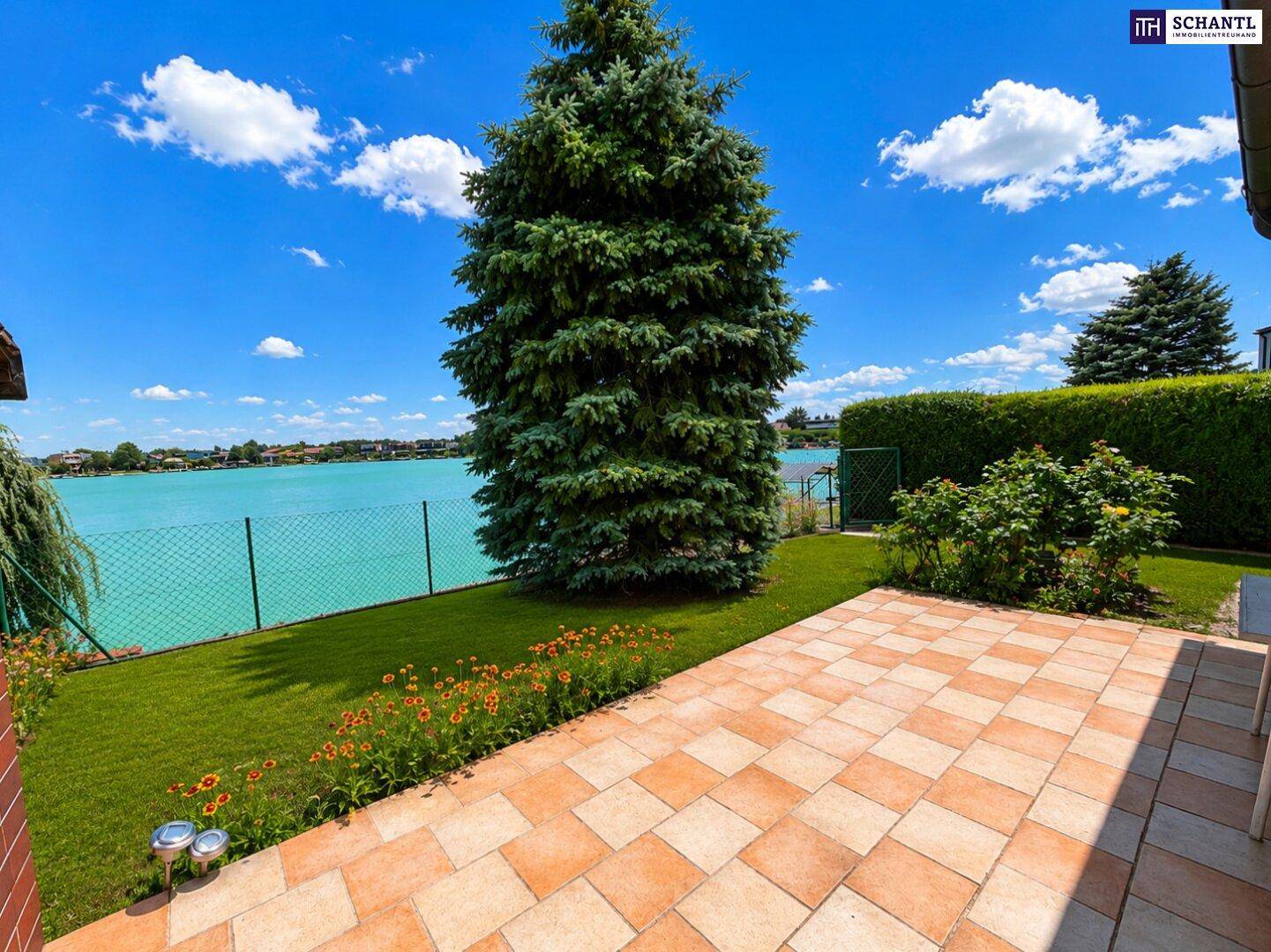 Sonniger Garten mit gepflasterter Terrasse, großem Baum und direktem Seezugang.