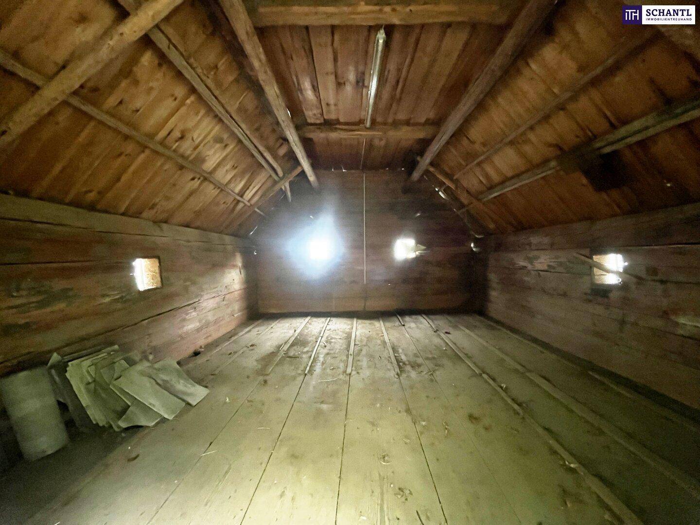 Innenansicht eines rustikalen Holzschuppens mit Holzboden und Holzwänden.