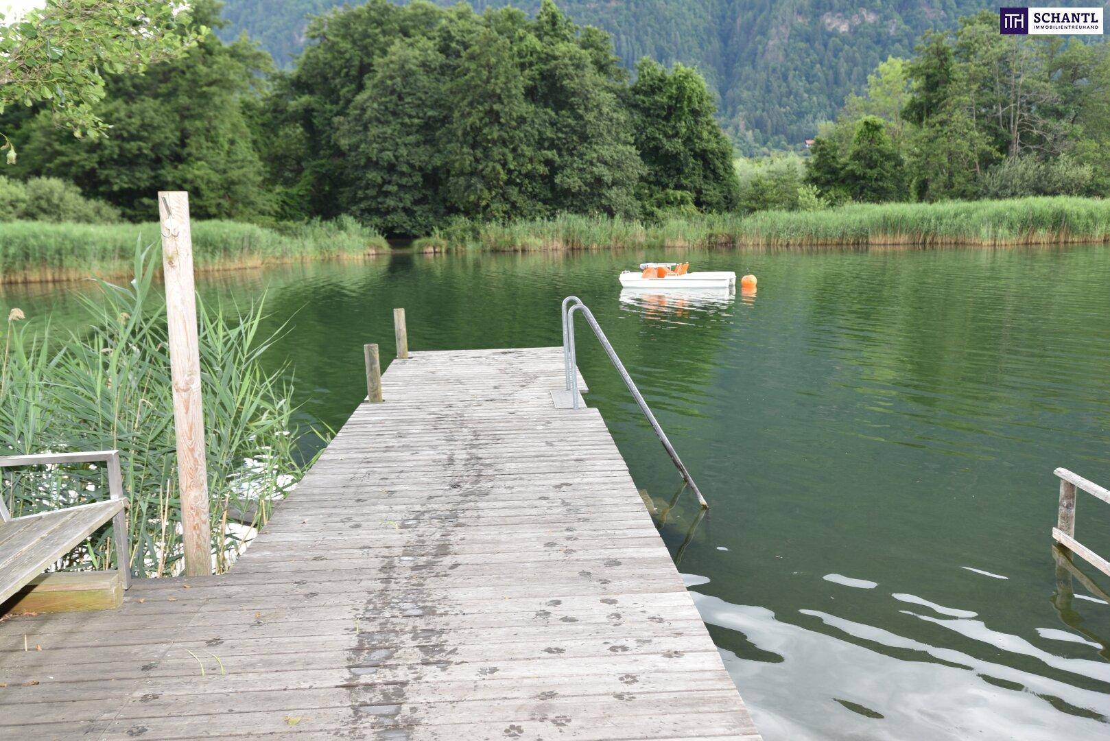 Hölzerner Steg führt ins klare Seewasser, umgeben von üppigem Schilf und grünen Bäumen.