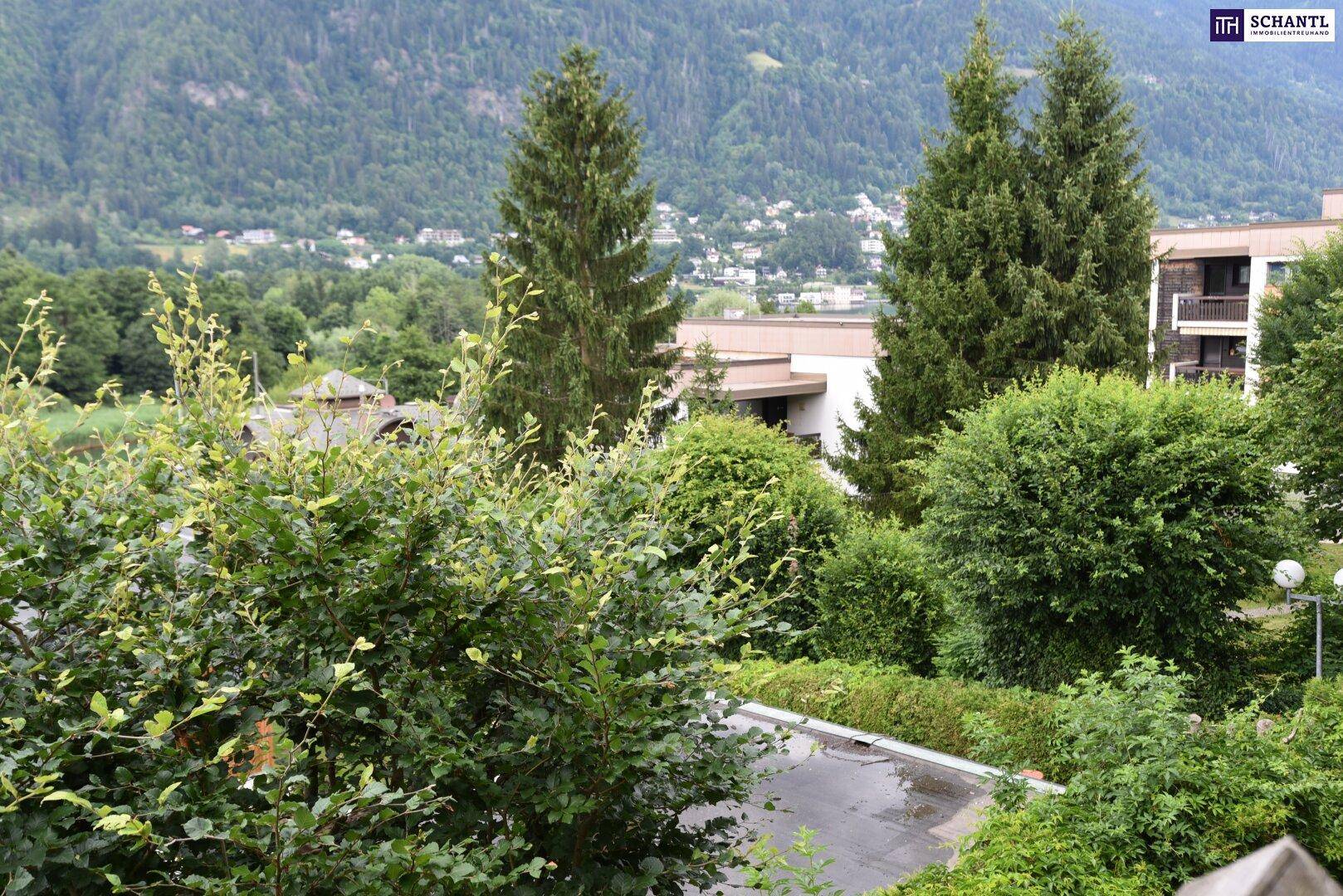 Weitläufiger Blick über grüne Baumwipfel und entfernte Gebäude vor einer Bergkulisse.