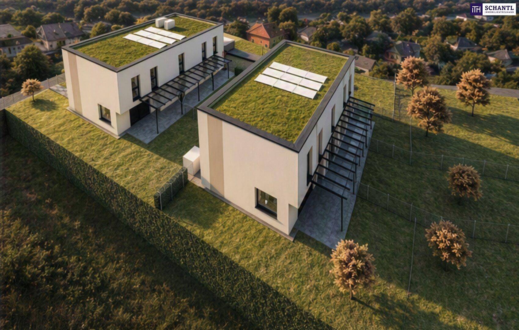 Luftaufnahme moderner Reihenhäuser mit begrünten Flachdächern und Photovoltaikanlagen in ländlicher Umgebung.