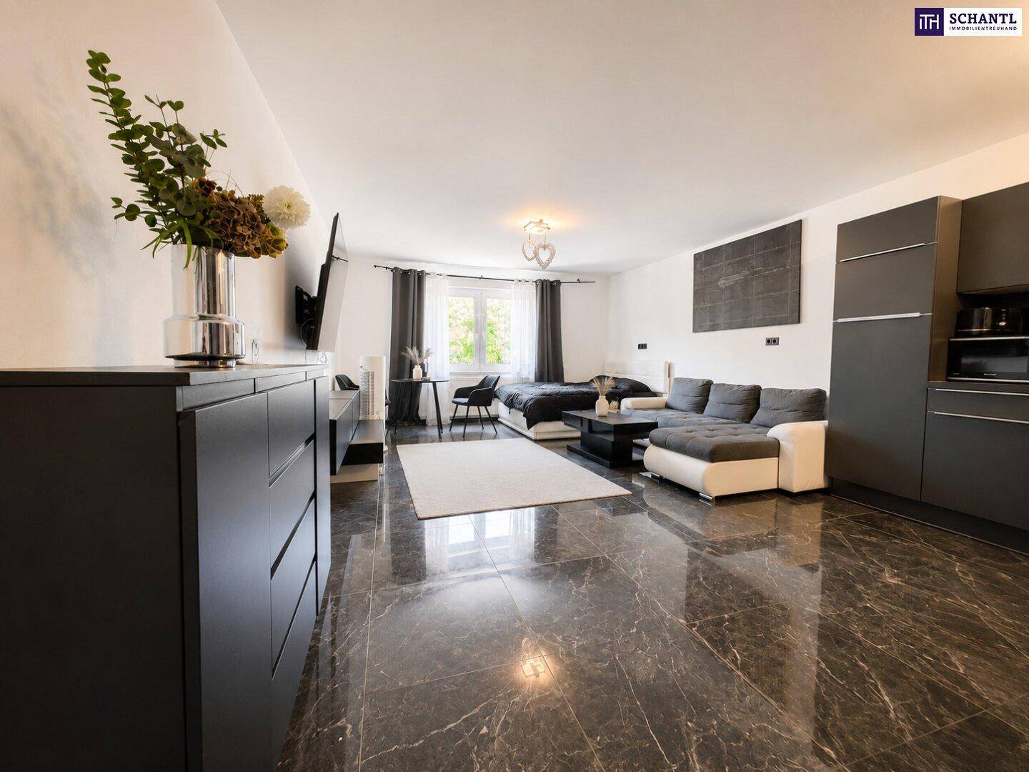 Geräumiges Studio-Apartment mit offener Küche, Wohnbereich und Schlafgelegenheit.