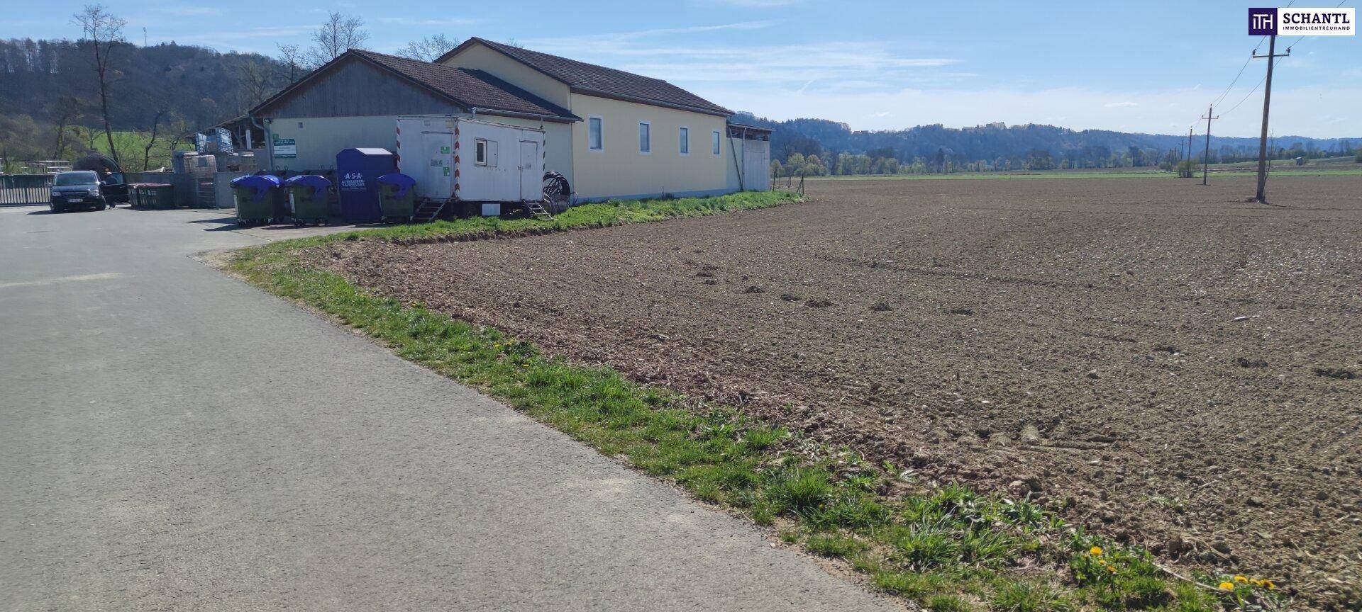 Asphaltierte Straße führt entlang eines Feldes zu einem Gebäude mit blauen Tonnen.