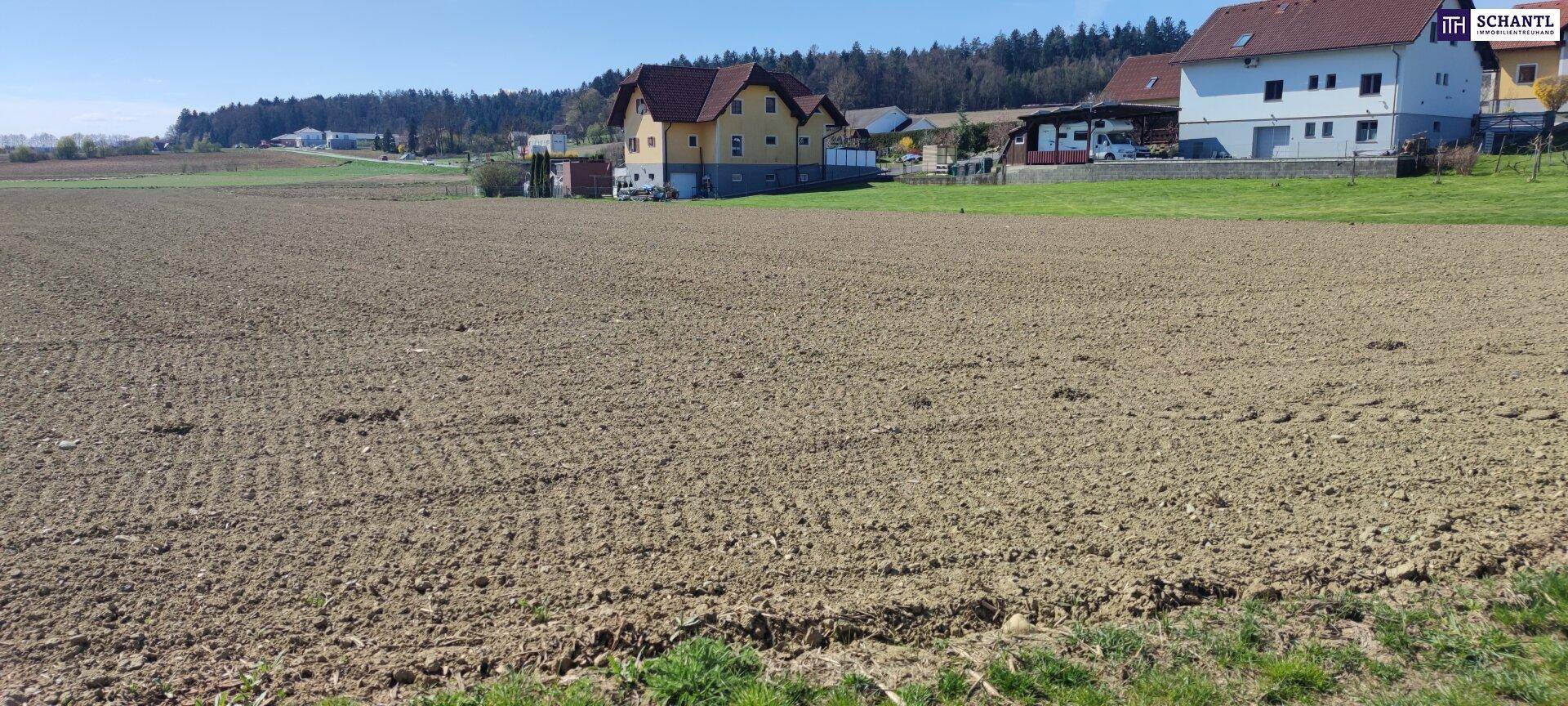 Ausgedehntes Ackerland mit mehreren Häusern und bewaldeten Hügeln im Hintergrund unter klarem Himmel.