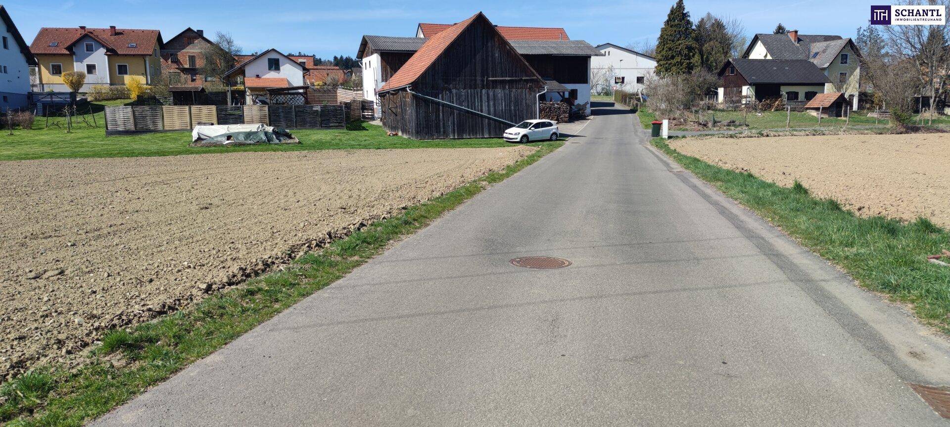 Ländliche Straße führt durch eine Siedlung mit verschiedenen Häusern und Feldern.