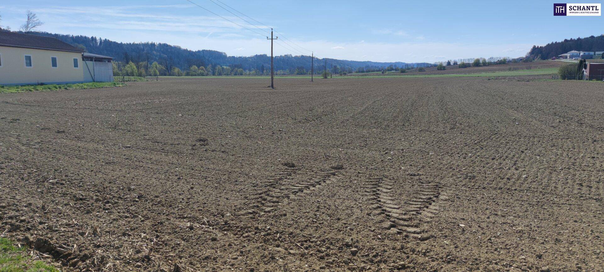 Weitläufiges, frisch bearbeitetes Feld mit Reifenspuren und einem Gebäude am Feldrand.