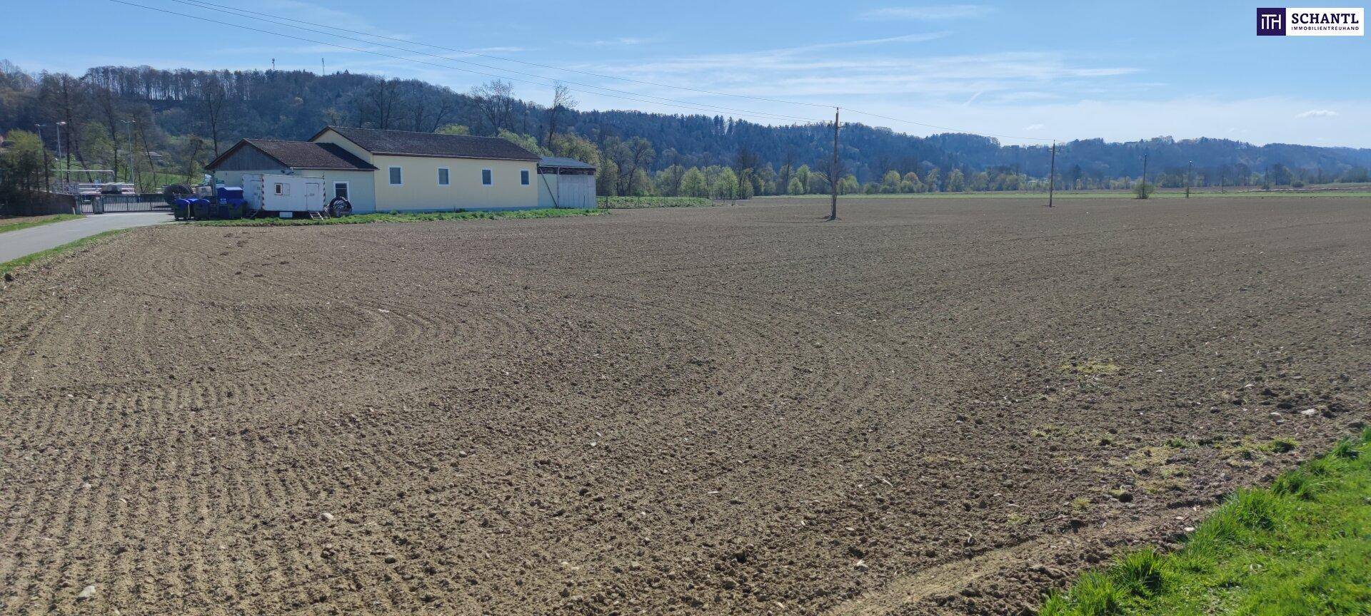 Offenes Feld mit einem landwirtschaftlichen Gebäude und bewaldeten Hügeln unter strahlend blauem Himmel.