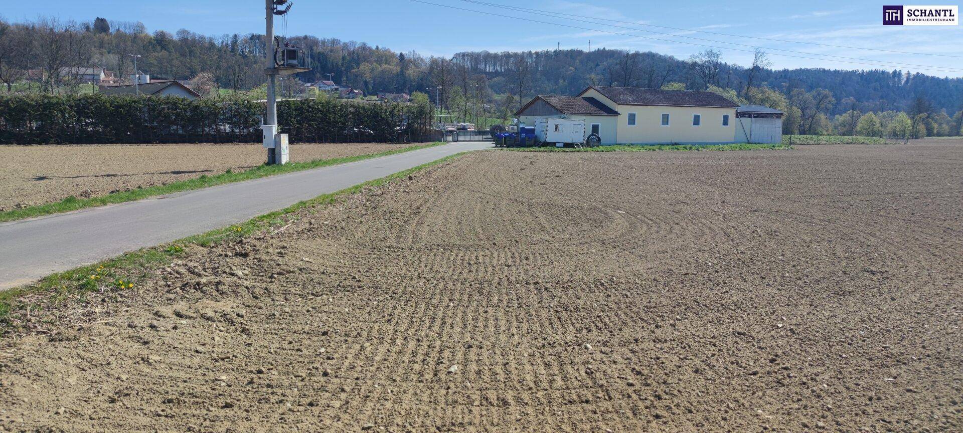 Weitläufiges Ackerland neben einer asphaltierten Straße mit einem Gebäude im Hintergrund.