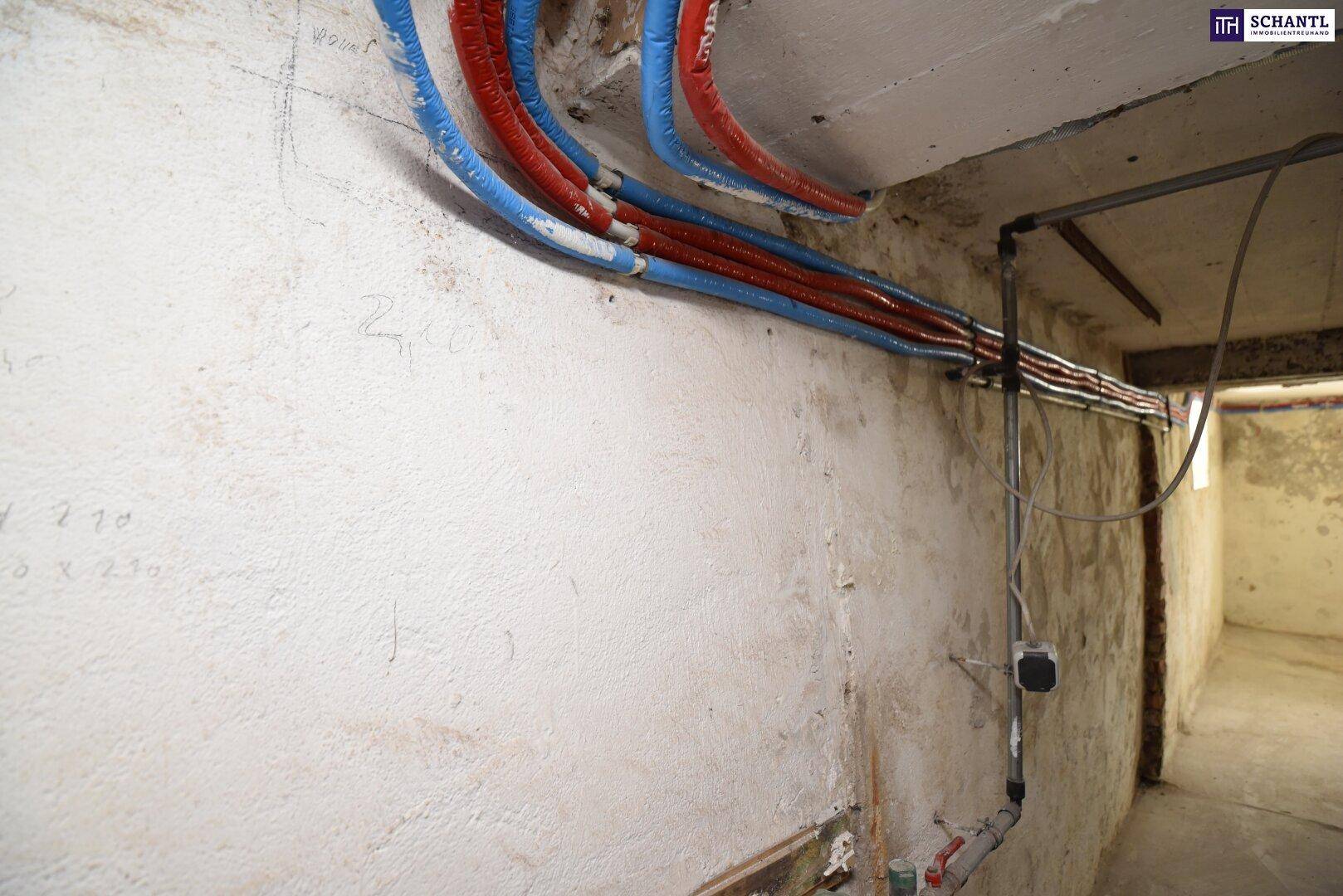 Kellerwand mit freiliegenden blauen und roten Rohren, die auf eine Verkleidung warten.
