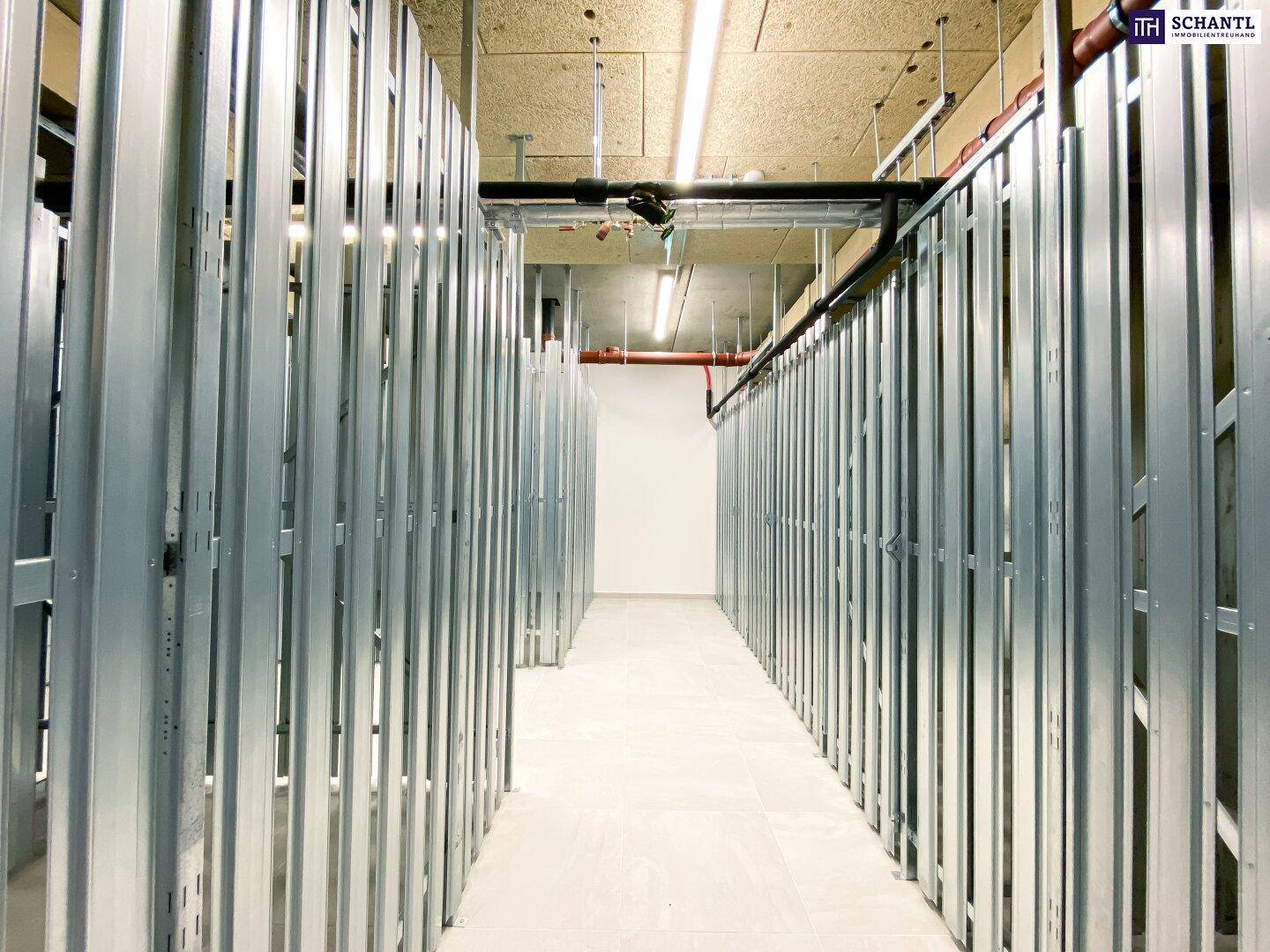 Geräumiger Abstellraum im Kellerbereich mit Metallabtrennungen und Betonboden.