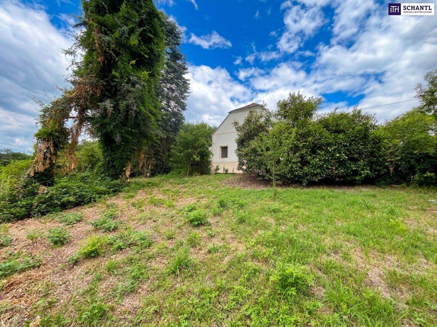 Blick auf das Haupthaus von einem grünen Gartenbereich aus, umgeben von hohen Bäumen.