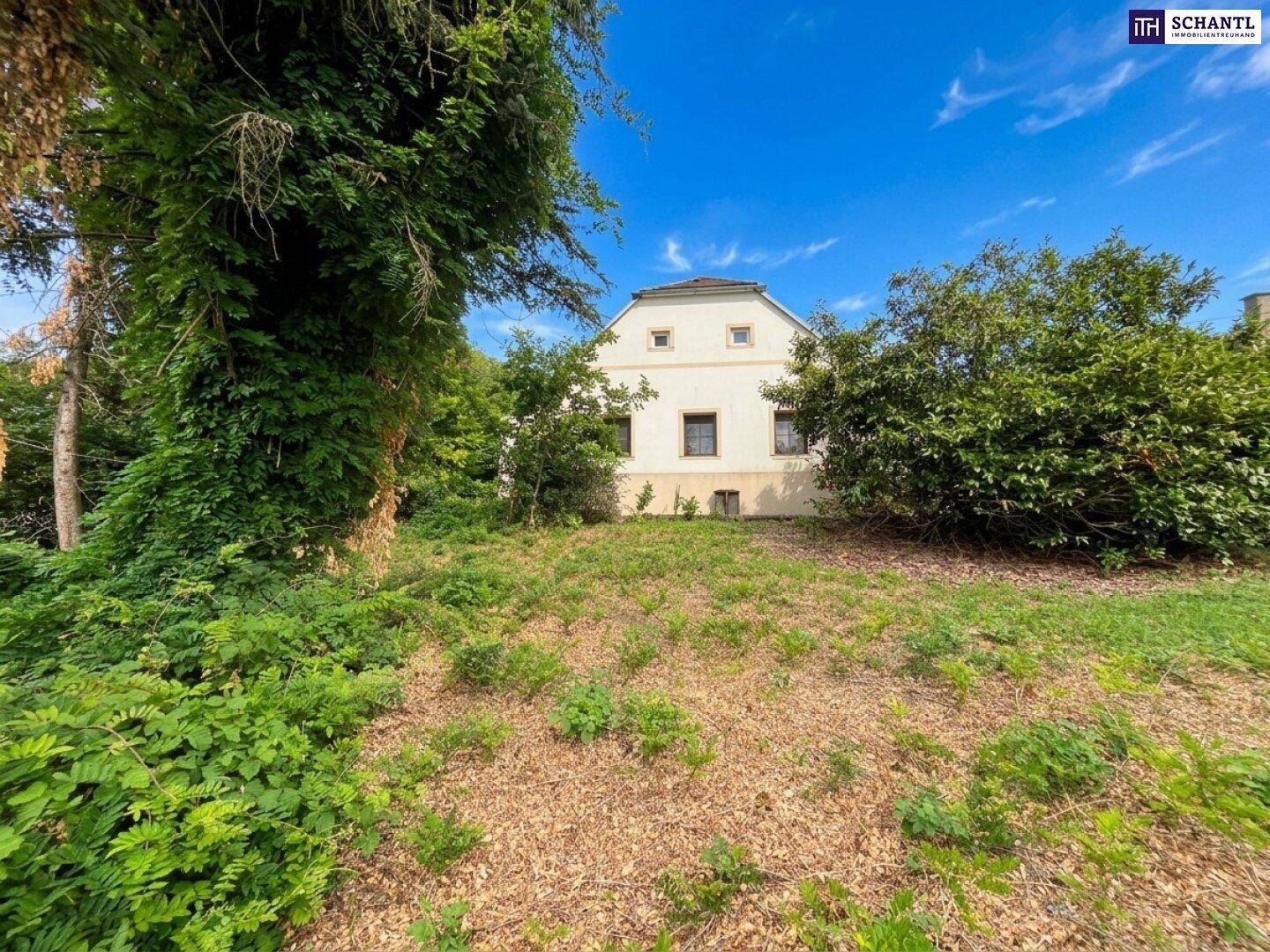 Das Haupthaus, umgeben von üppigem Grün und hohen Bäumen, von einem Gartenbereich aus gesehen.