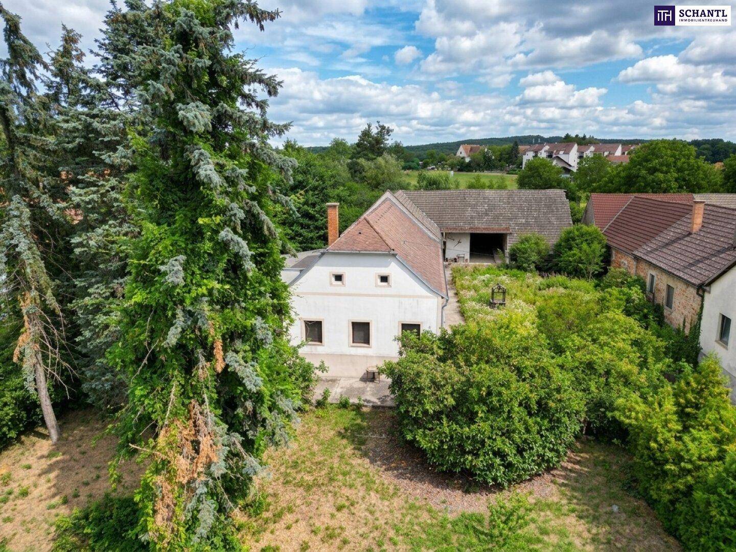Luftaufnahme des Anwesens mit dem Haupthaus und Nebengebäuden, umgeben von Bäumen.