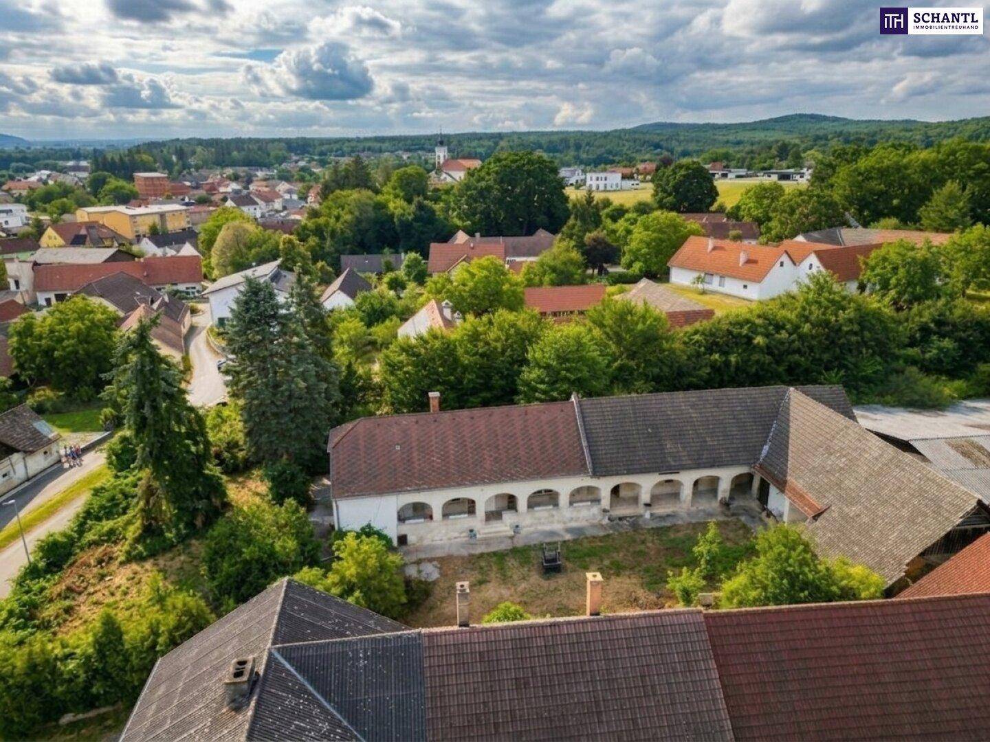 Panoramablick aus der Vogelperspektive über das Dorf mit vielen grünen Bäumen und Häusern.