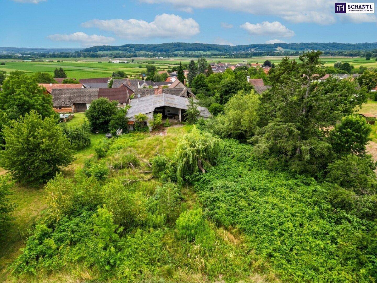 Luftaufnahme der grünen Landschaft mit einem kleinen Dorf und landwirtschaftlichen Flächen.
