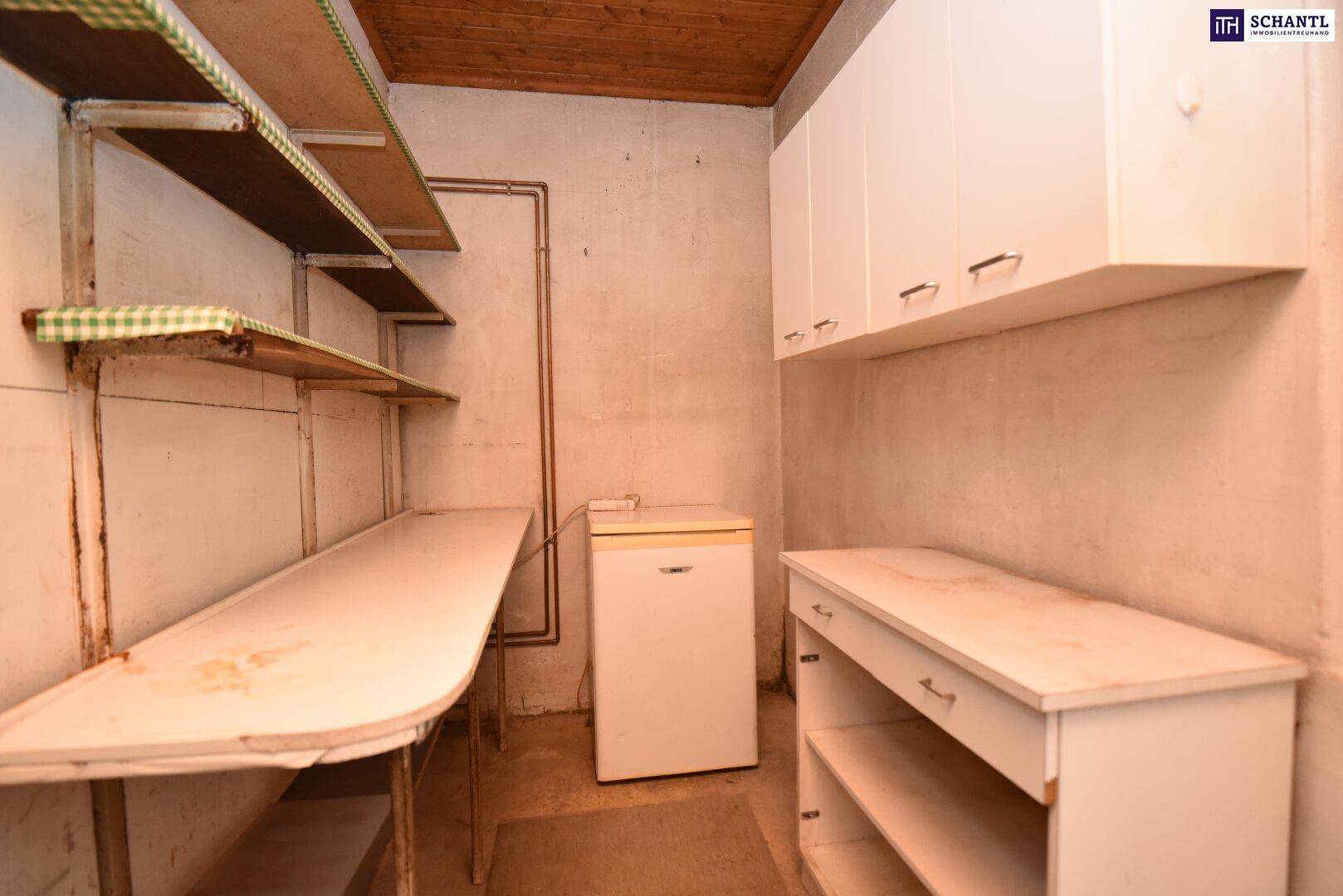 Einfacher Abstellraum mit Regalen, einem kleinen Kühlschrank und Hängeschränken.