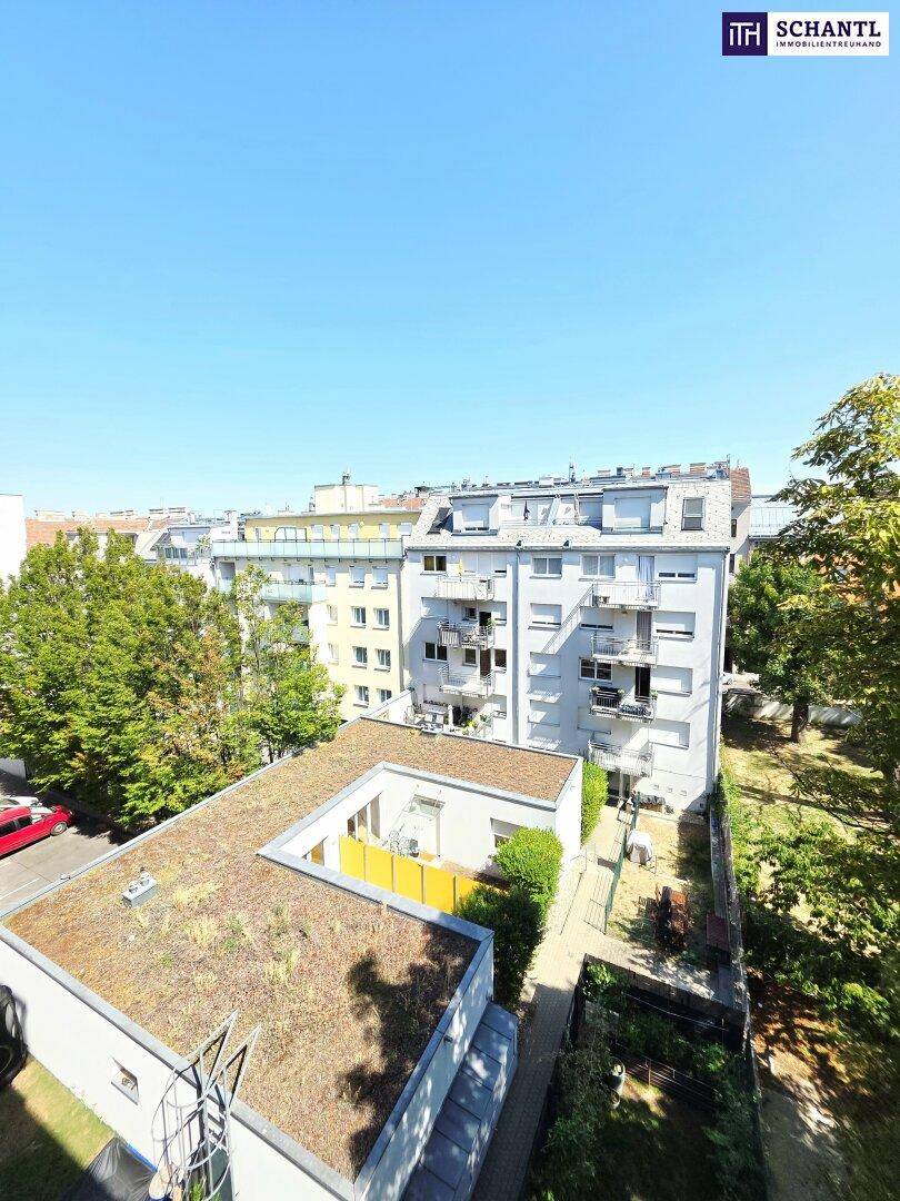 Blick von oben auf die umliegenden Gebäude mit begrünten Dächern und Bäumen.