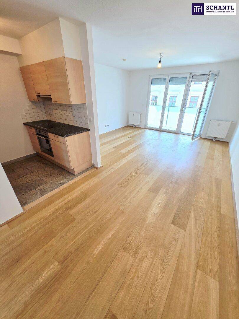 Offener Wohnbereich mit integrierter Küchenzeile und Zugang zum Balkon.