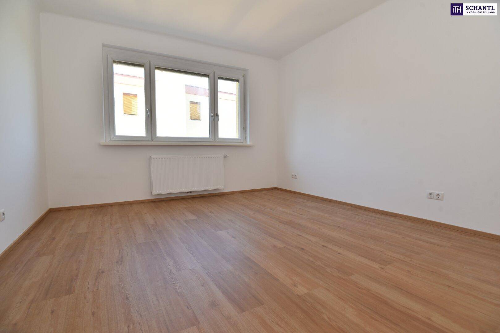 Leeres Schlafzimmer mit Laminatboden, weißen Wänden und einem großen Fenster.
