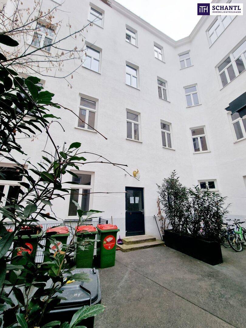 Heller Innenhof eines Altbaus mit Mülltonnen, Fahrrädern und grünen Pflanzen.