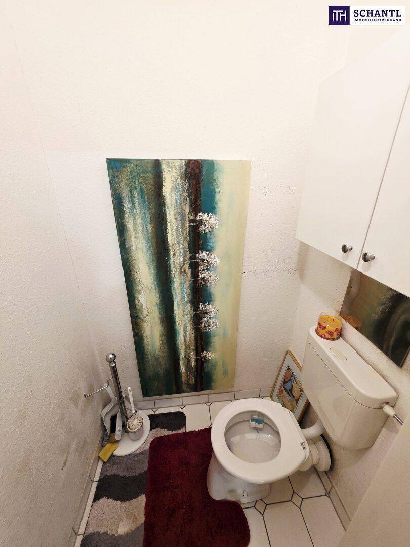 Separate Toilette mit WC, kleinem Waschbecken und einem dekorativen Wandbild.
