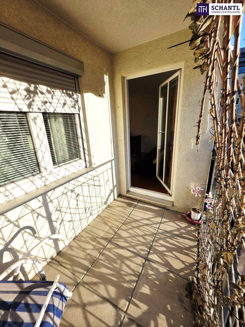 Sonniger Balkon mit Fliesenboden und Zugang zum Innenraum, ausgestattet mit Rollläden.