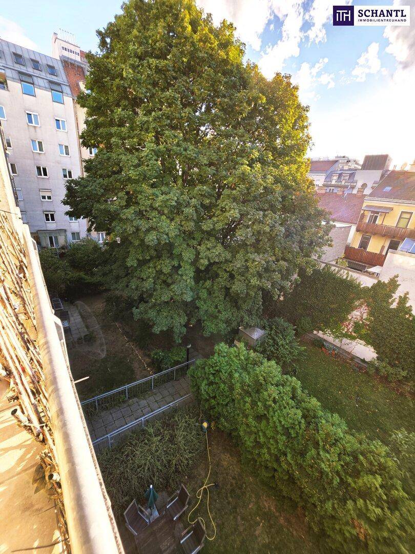 Blick von oben auf einen grünen Gartenbereich mit Bäumen und Sträuchern, umgeben von Gebäuden.